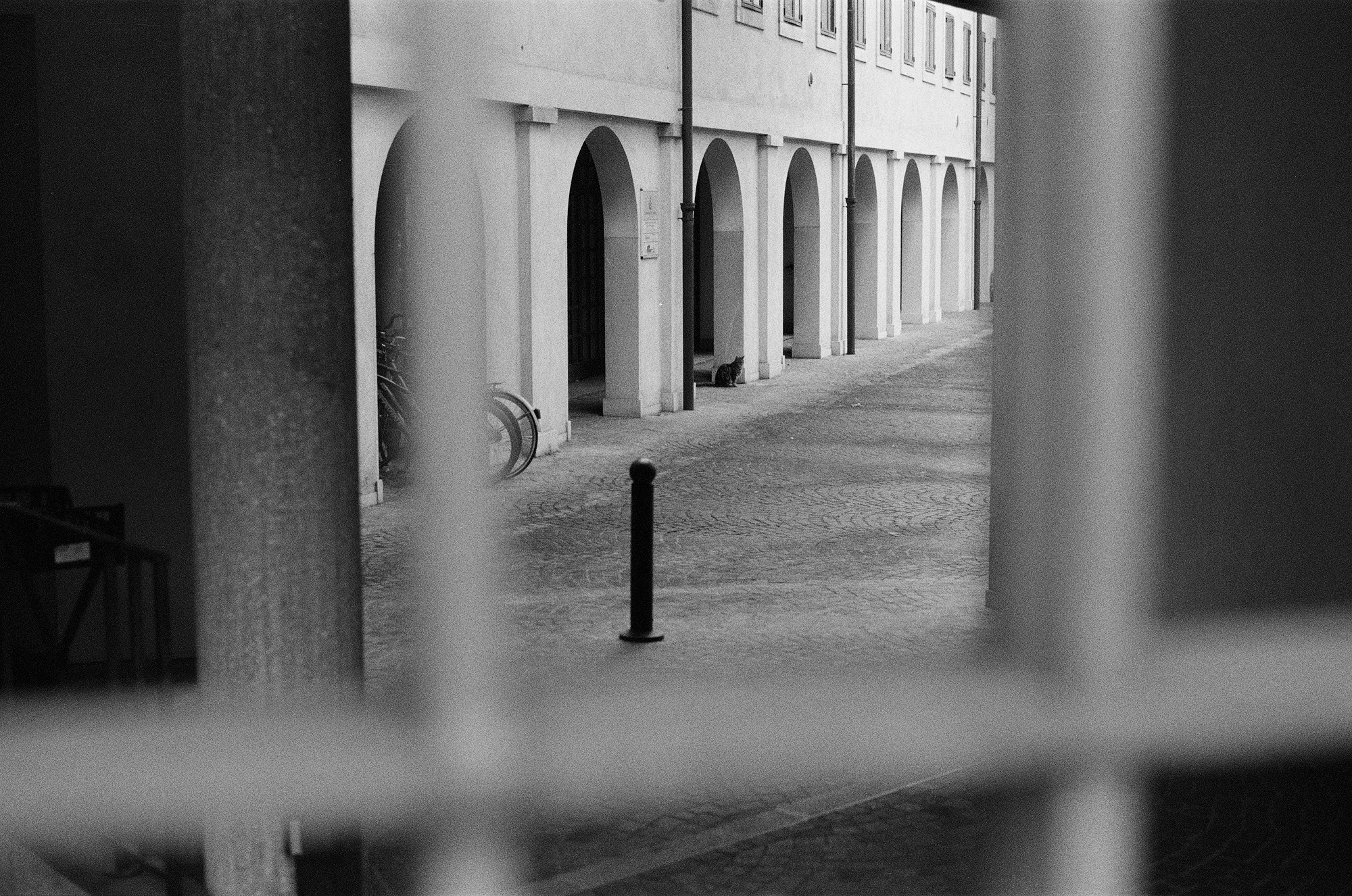 A gastroturist. Udine (Northern Italy). Another person Pavel Potseluev. A photographer in 2025