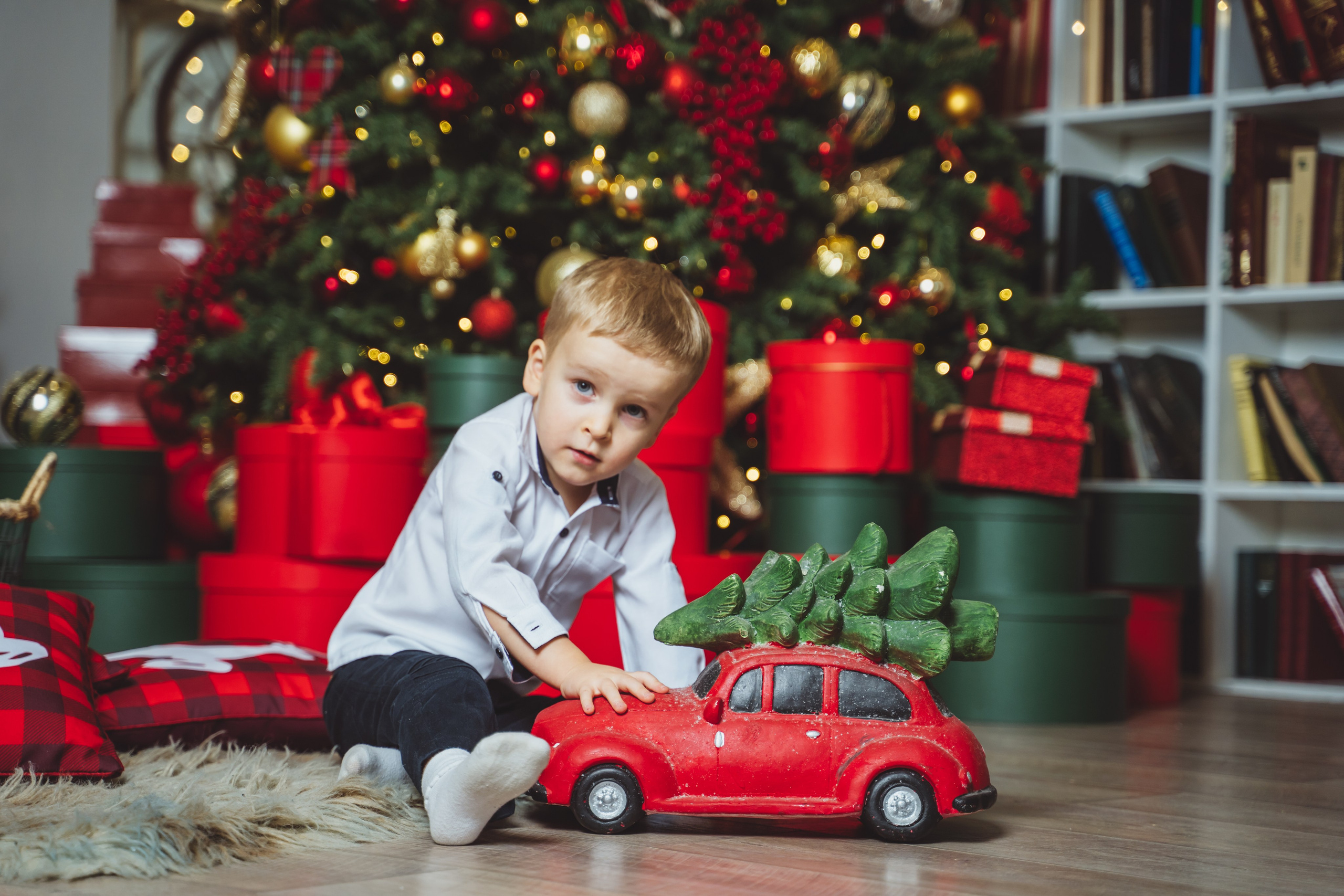 Детки и хаски. Фотограф в Москве Ленарская Дарья