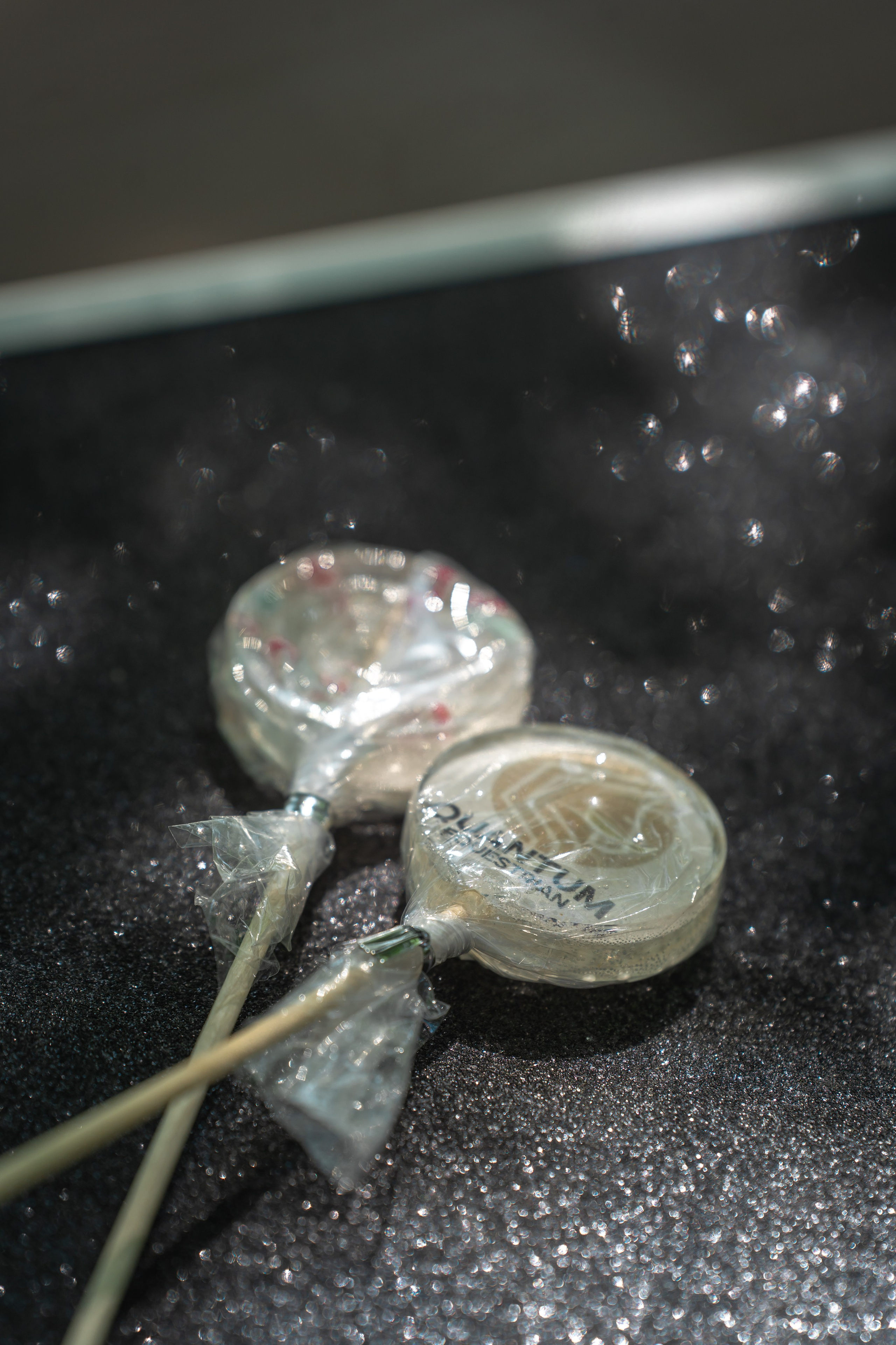 Конный бренд. Фотограф в Москве Ленарская Дарья