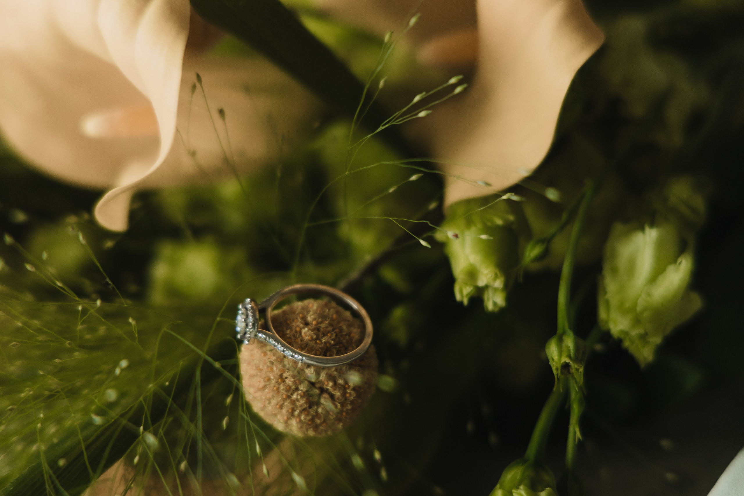 Свадебный фотограф Анна Кучумова