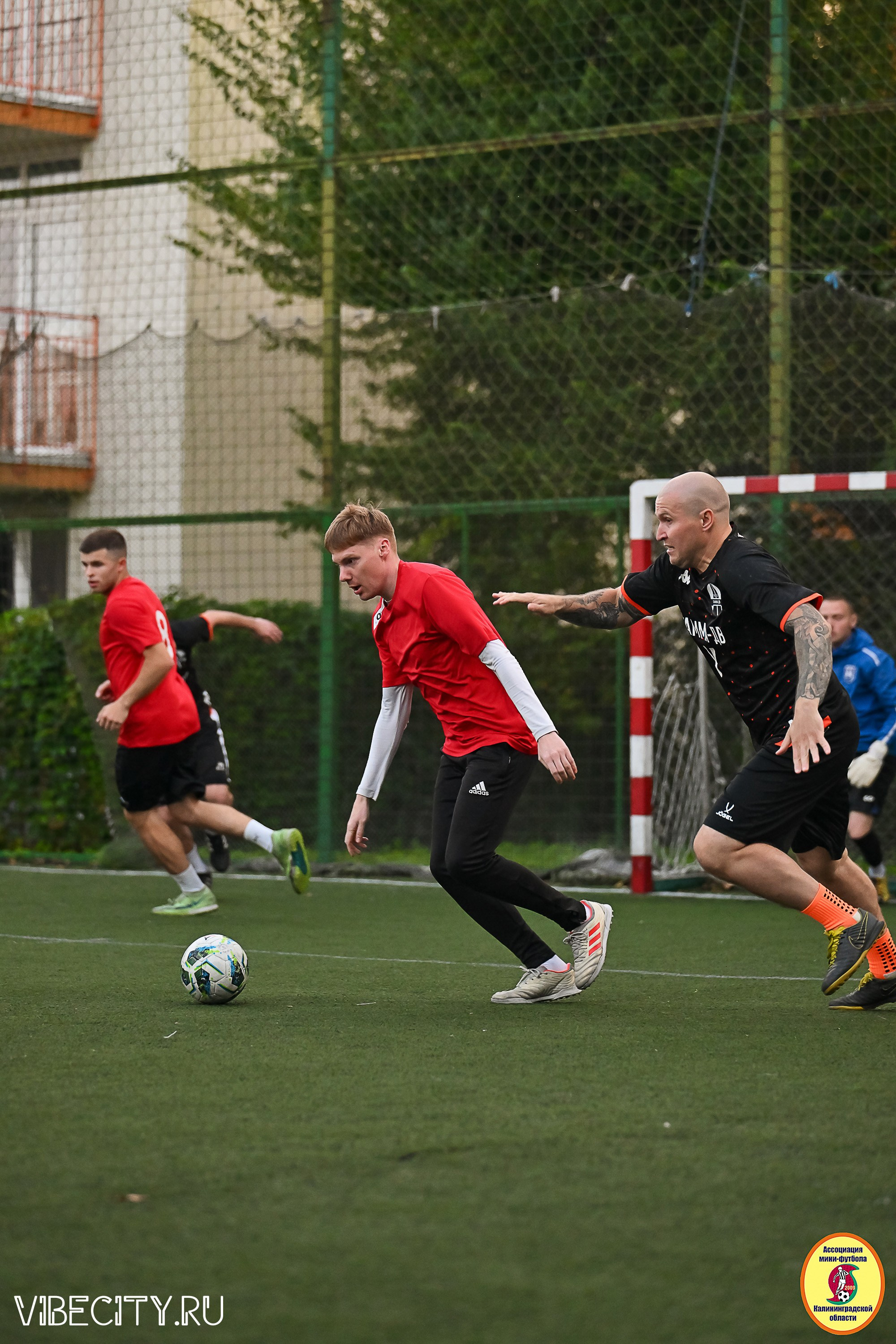 ИГРЫ ПЛЕЙ-ОФФ ПЕРВОГО ДИВИЗИОНА МИНИ-ФУТБОЛЬНОЙ ЛИГИ. VIBECITY.RU Вайб Сити Ру Фоторепортажи Фотоотчеты Калининград