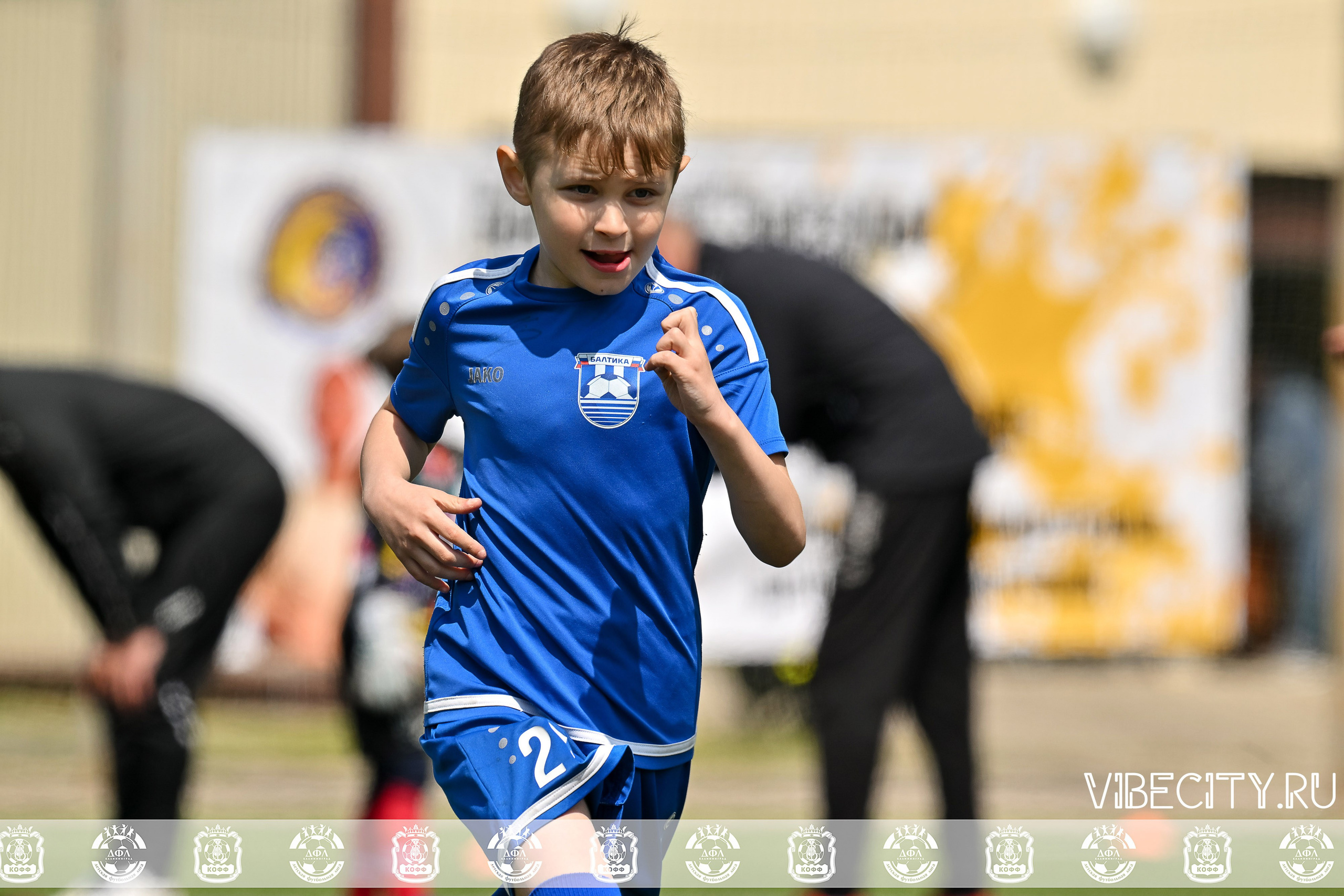 Большие Звезды светят Малым. VIBECITY.RU Вайб Сити Ру Фоторепортажи Фотоотчеты Калининград