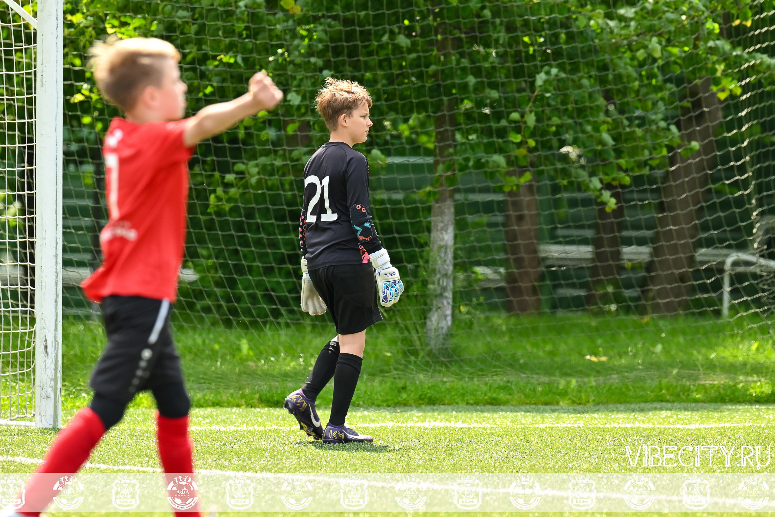 Большие Звезды светят Малым. VIBECITY.RU Вайб Сити Ру Фоторепортажи Фотоотчеты Калининград