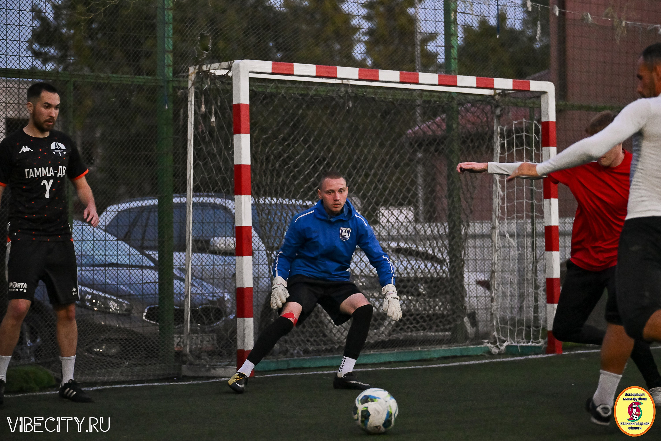 ИГРЫ ПЛЕЙ-ОФФ ПЕРВОГО ДИВИЗИОНА МИНИ-ФУТБОЛЬНОЙ ЛИГИ. VIBECITY.RU Вайб Сити Ру Фоторепортажи Фотоотчеты Калининград
