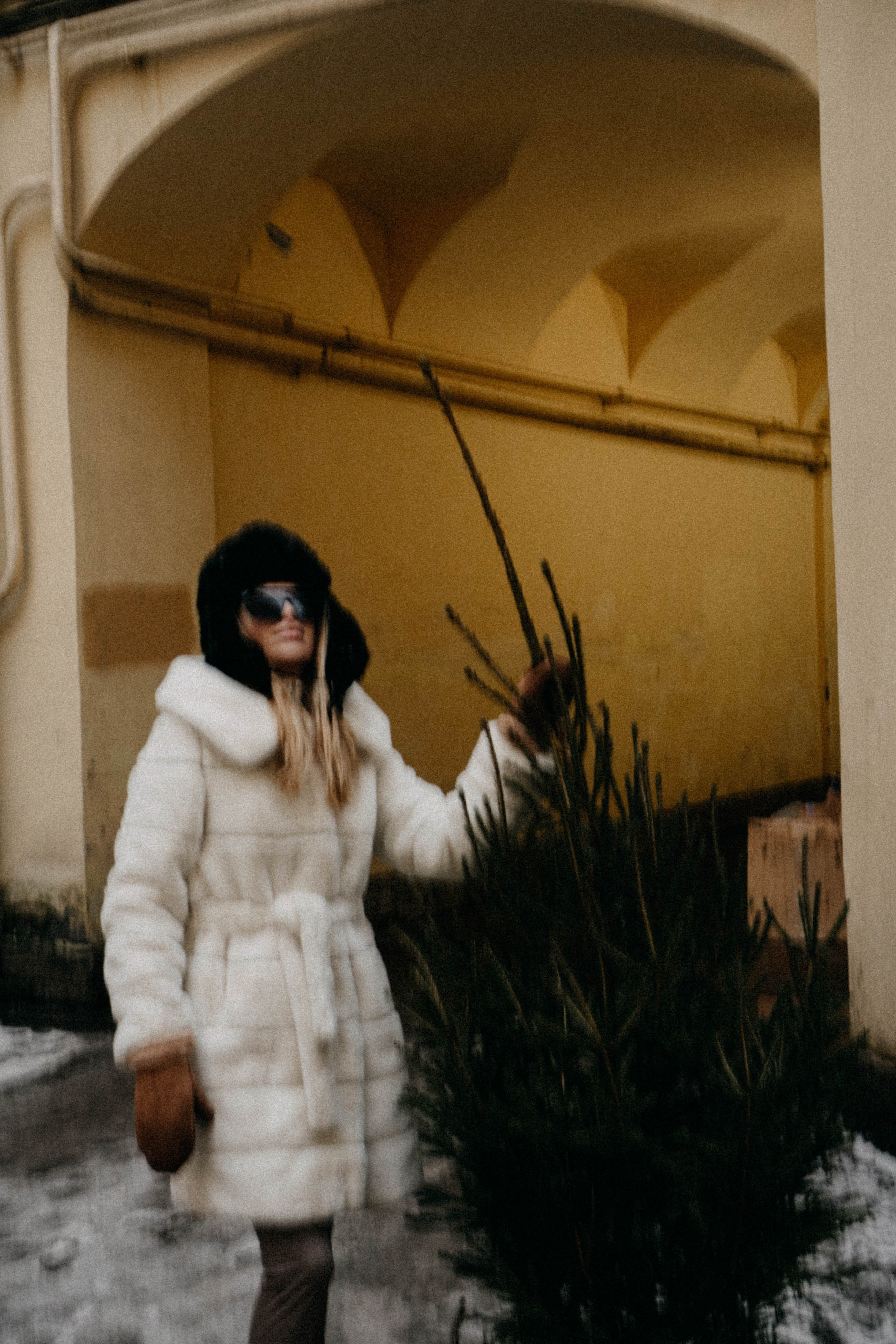 Новогодняя. Профессиональный фотограф, Санкт-Петербург — Виктория Богомолова