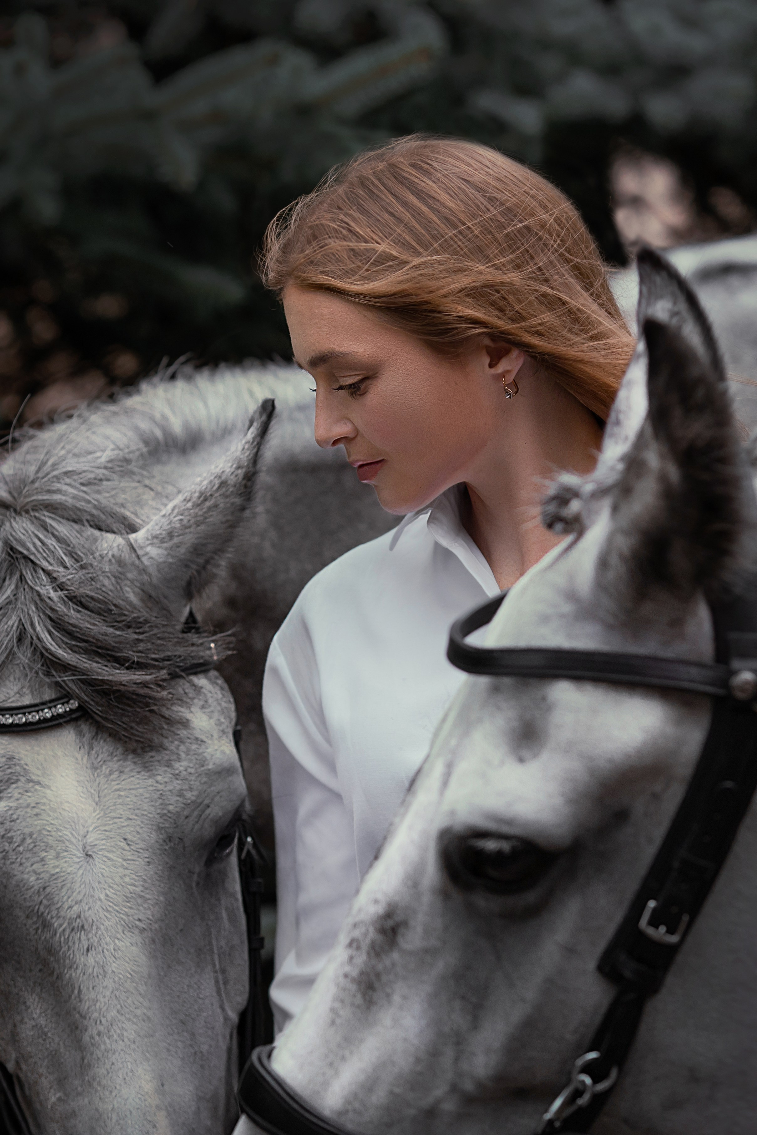 Фотосессии с лошадьми. Главная