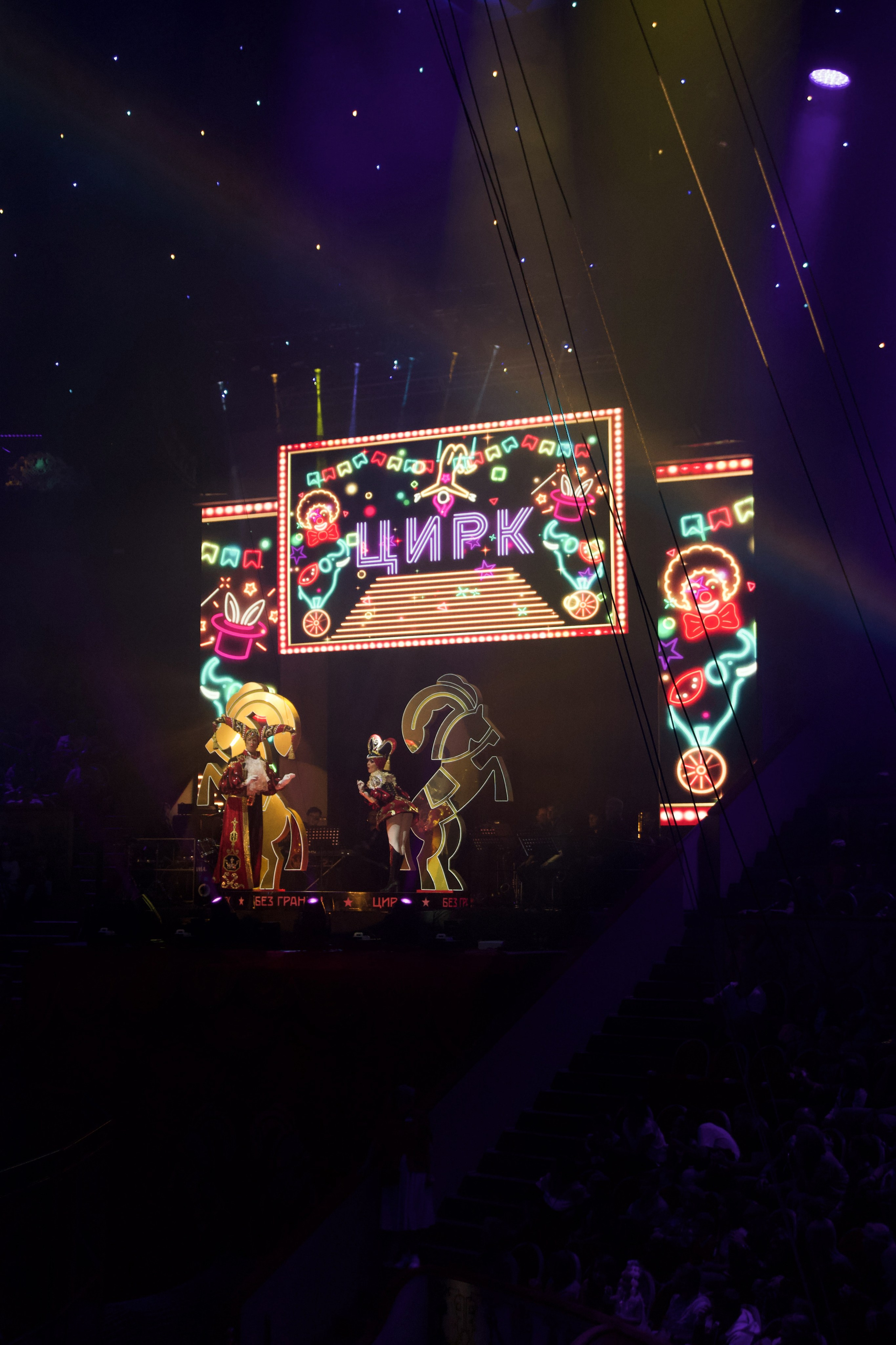 Цирк. Анна Жукова — Режиссёр кино и цирка, сценарист, фотограф