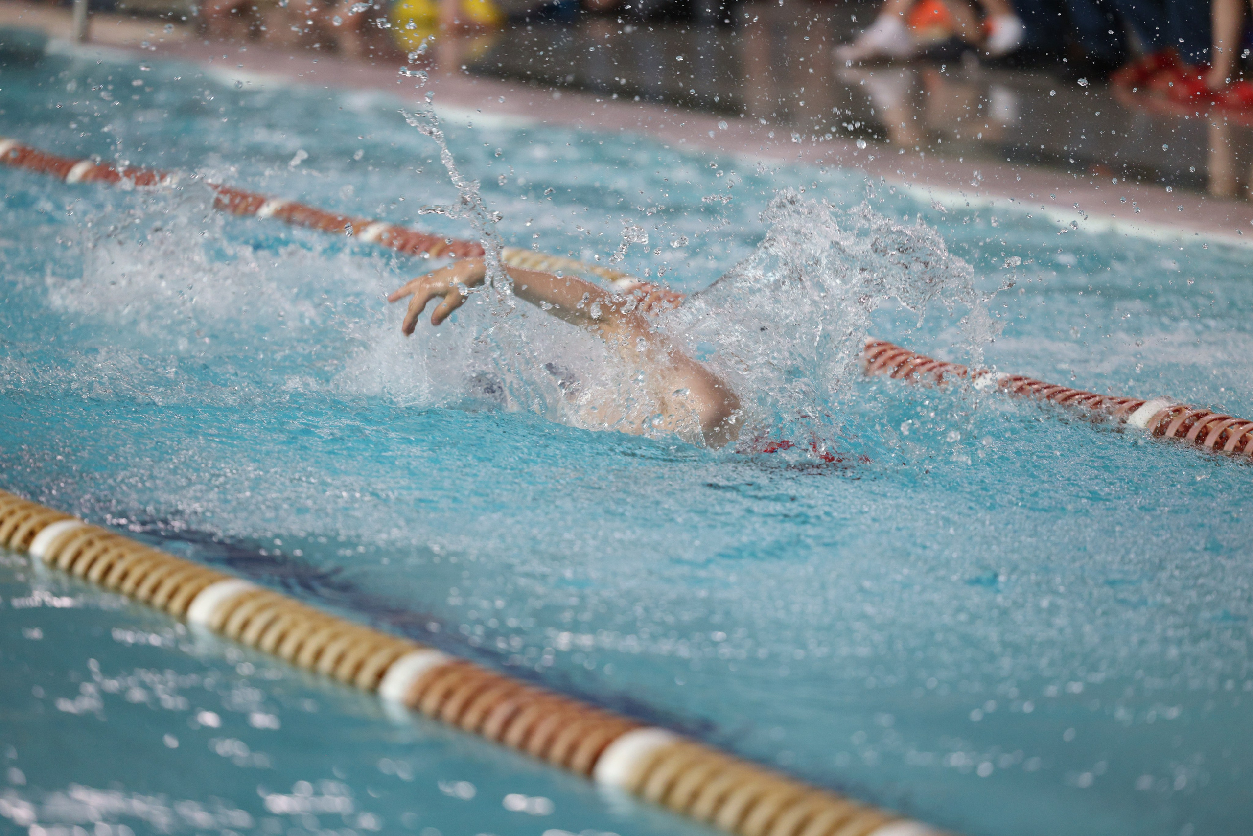 Веселый дельфин. Плавание. Дети 8-9 лет. Фотограф Александр Заломаев