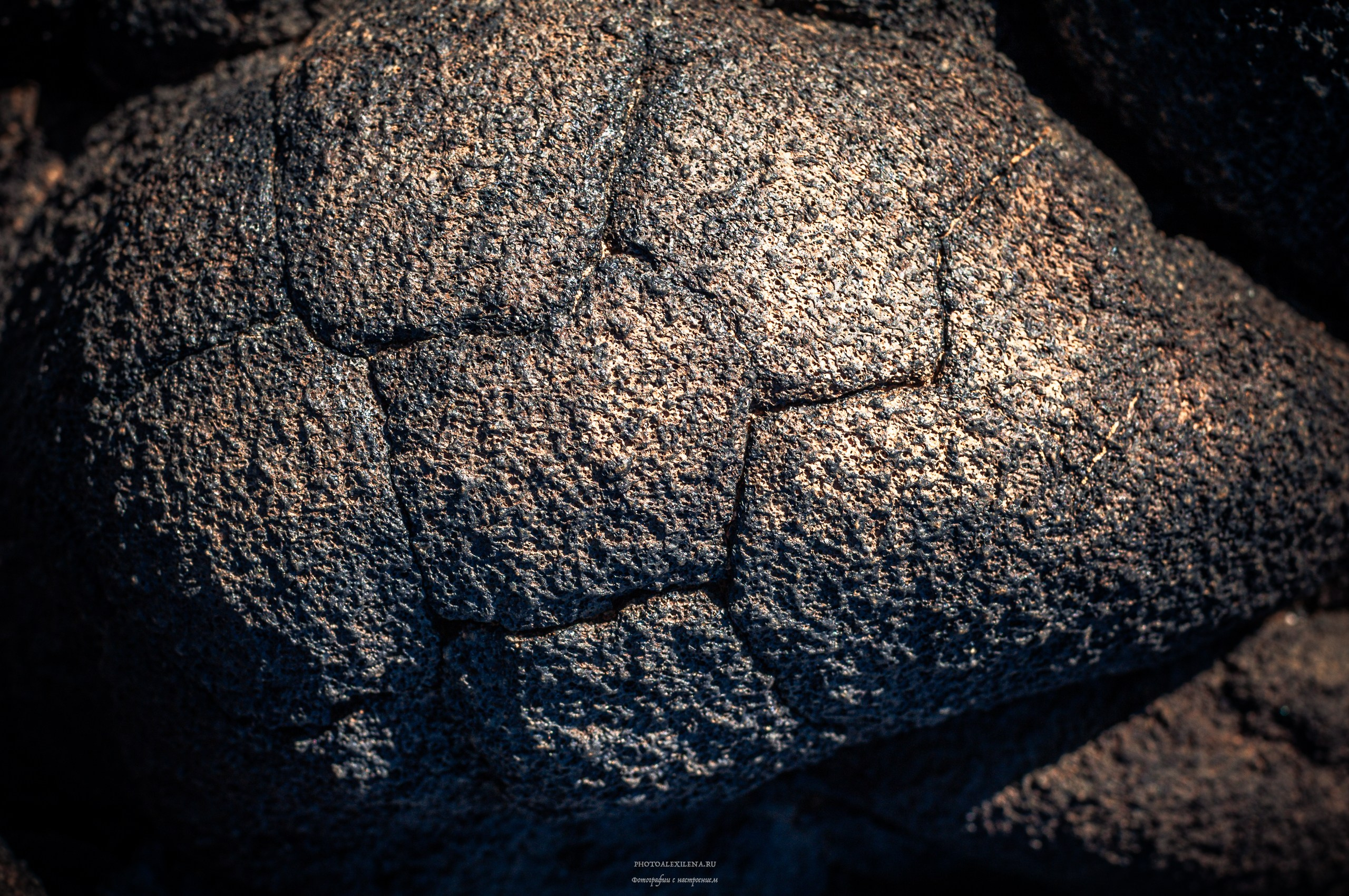 Осязаемая красота. Авторские стильные фотокартины