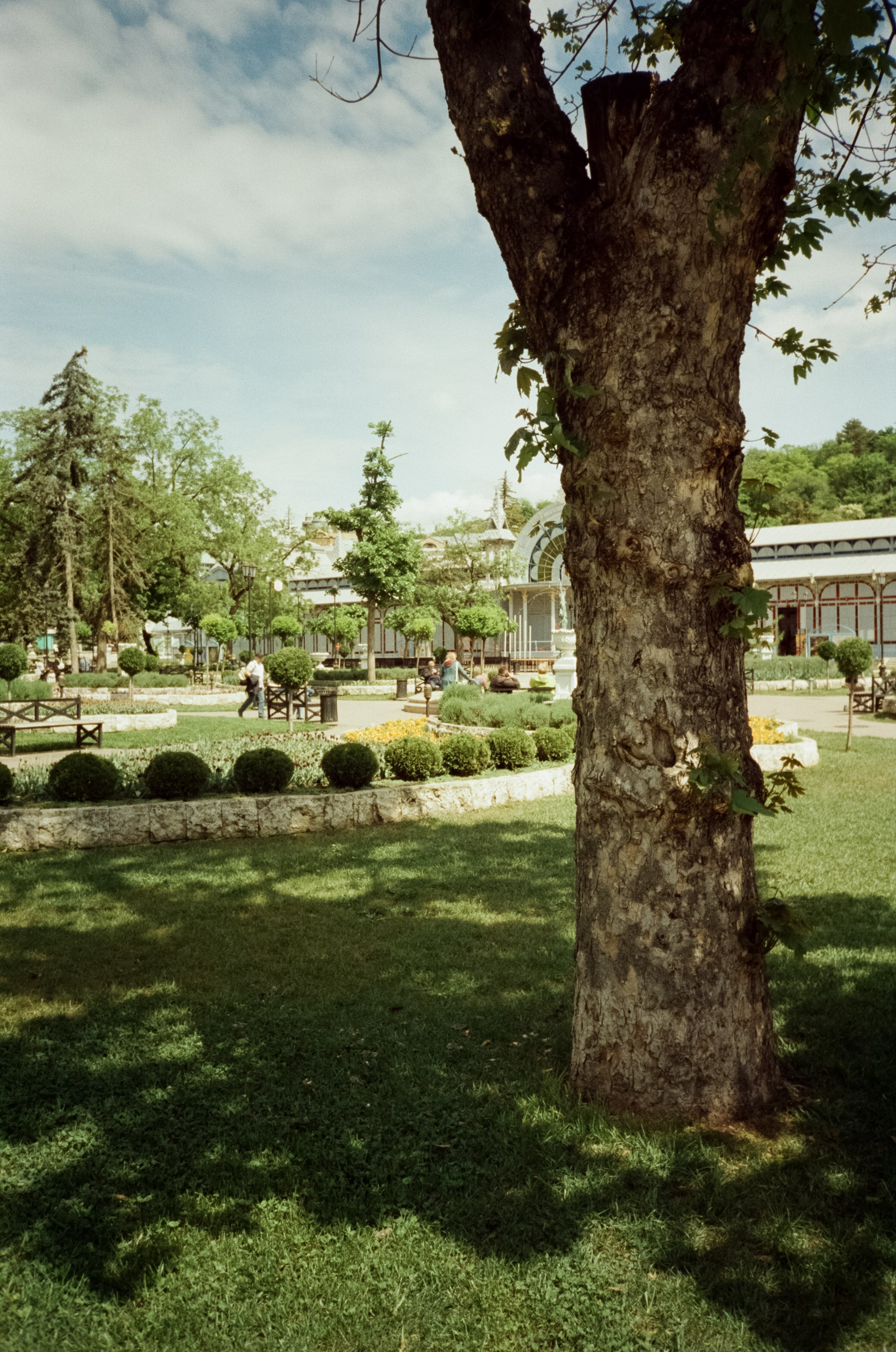 Остап Бендер, озеро Провал и парк Цветник в Пятигорске. Фотограф-документалист Мария Осокина