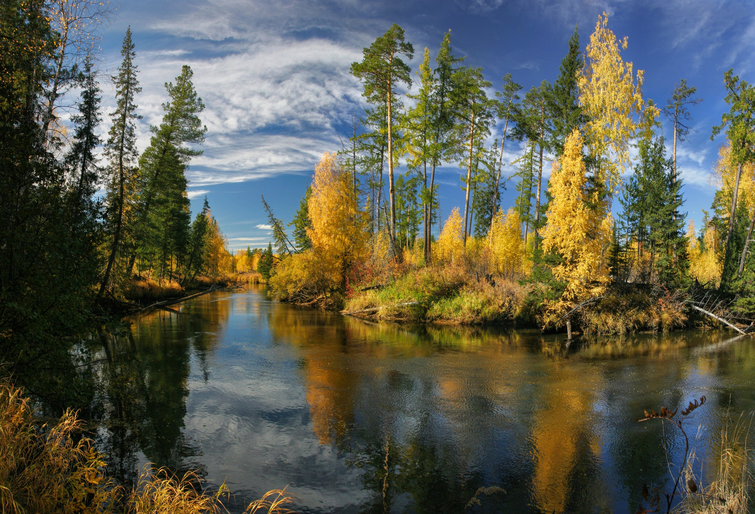 ПЕЙЗАЖИ. Фотограф Татьяна Борисова