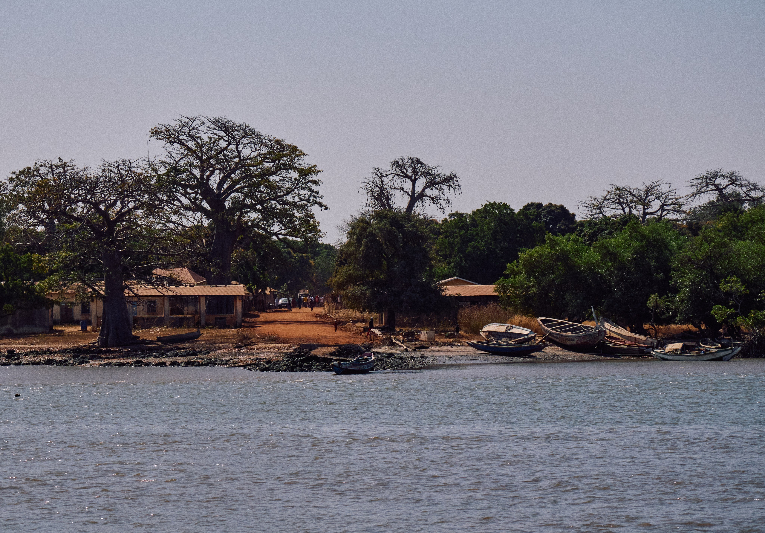 Gambia River. See the moment and catche. commercial and reportage