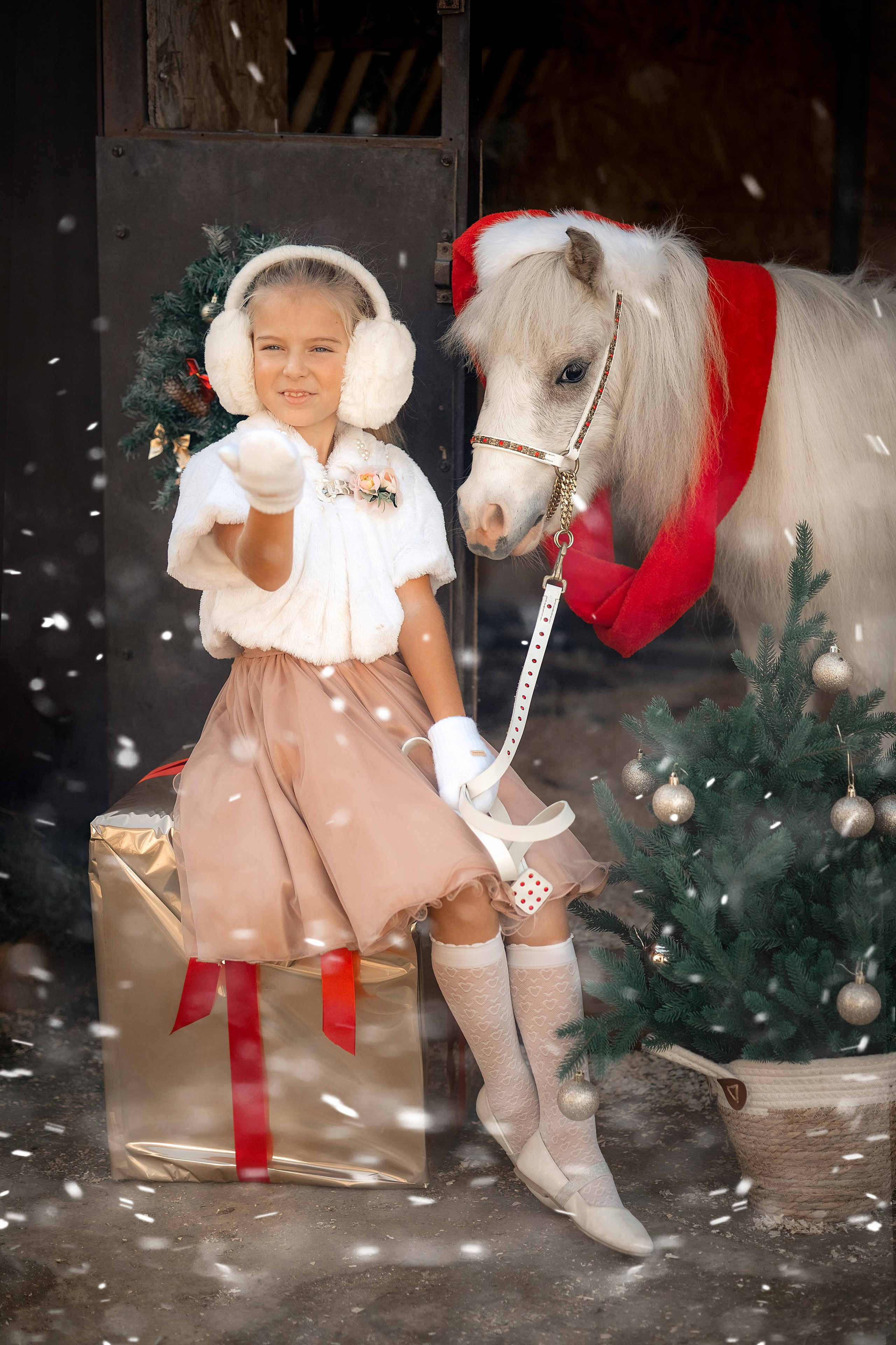 Новогодняя сказка. Художественный фотограф Анапа Александра Долбикова