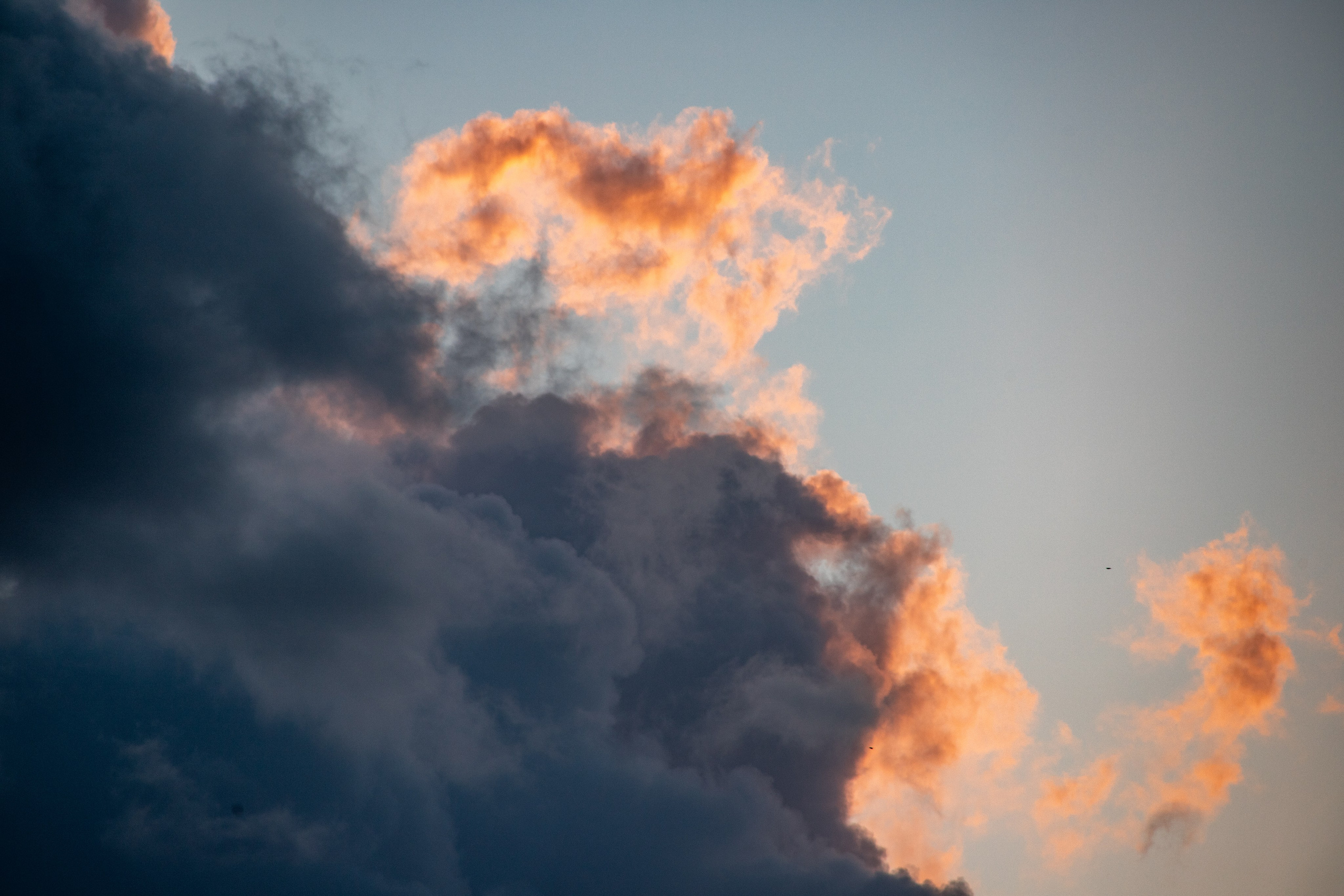 Отзывы. Фотограф Анастасия Сонина