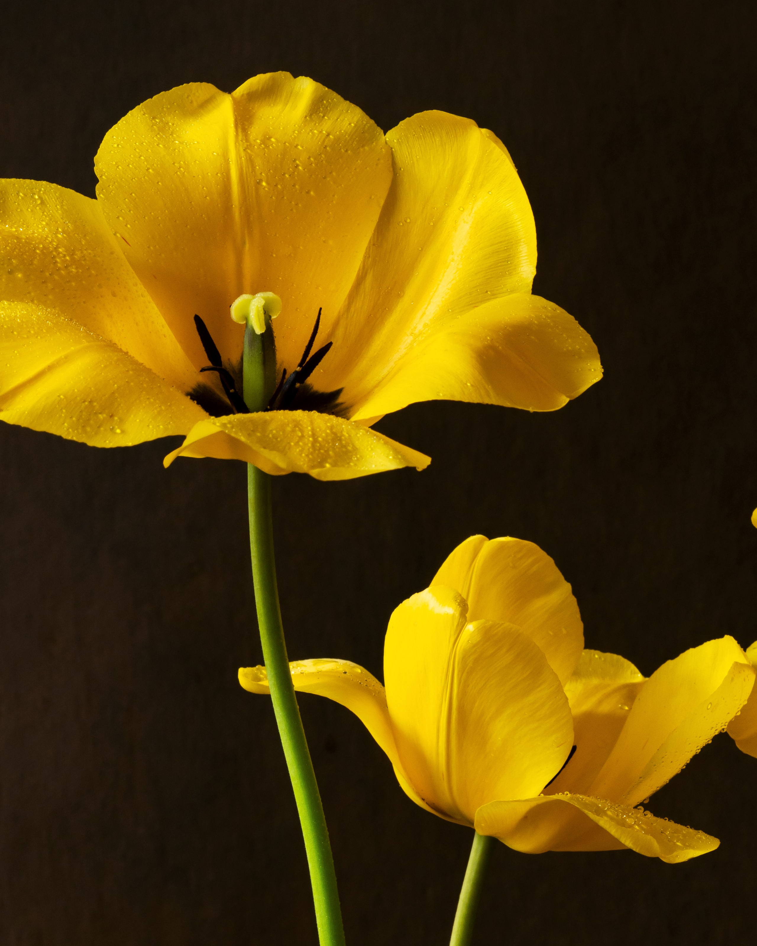 Sun and Flame. Author’s fine art prints with international delivery