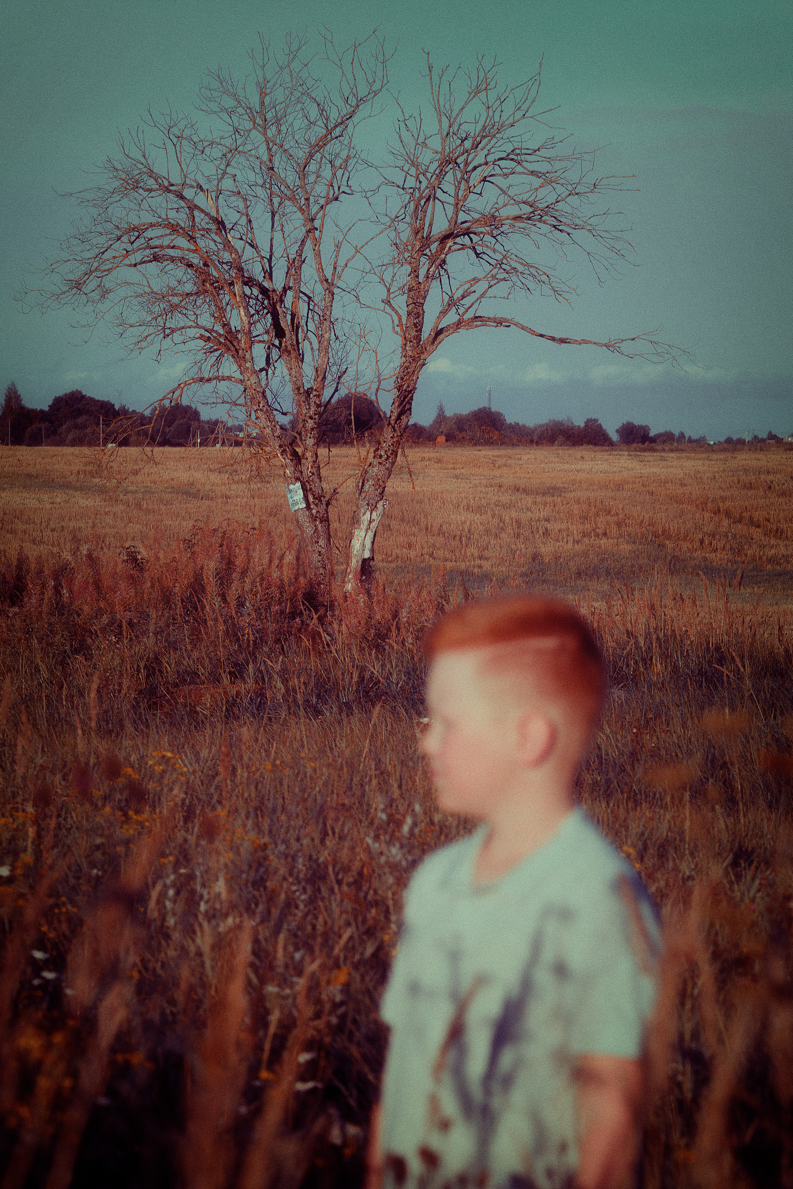 АНДРЕЙ. ФотоХудожник Харитонова Ирина г. Санкт-Петербург