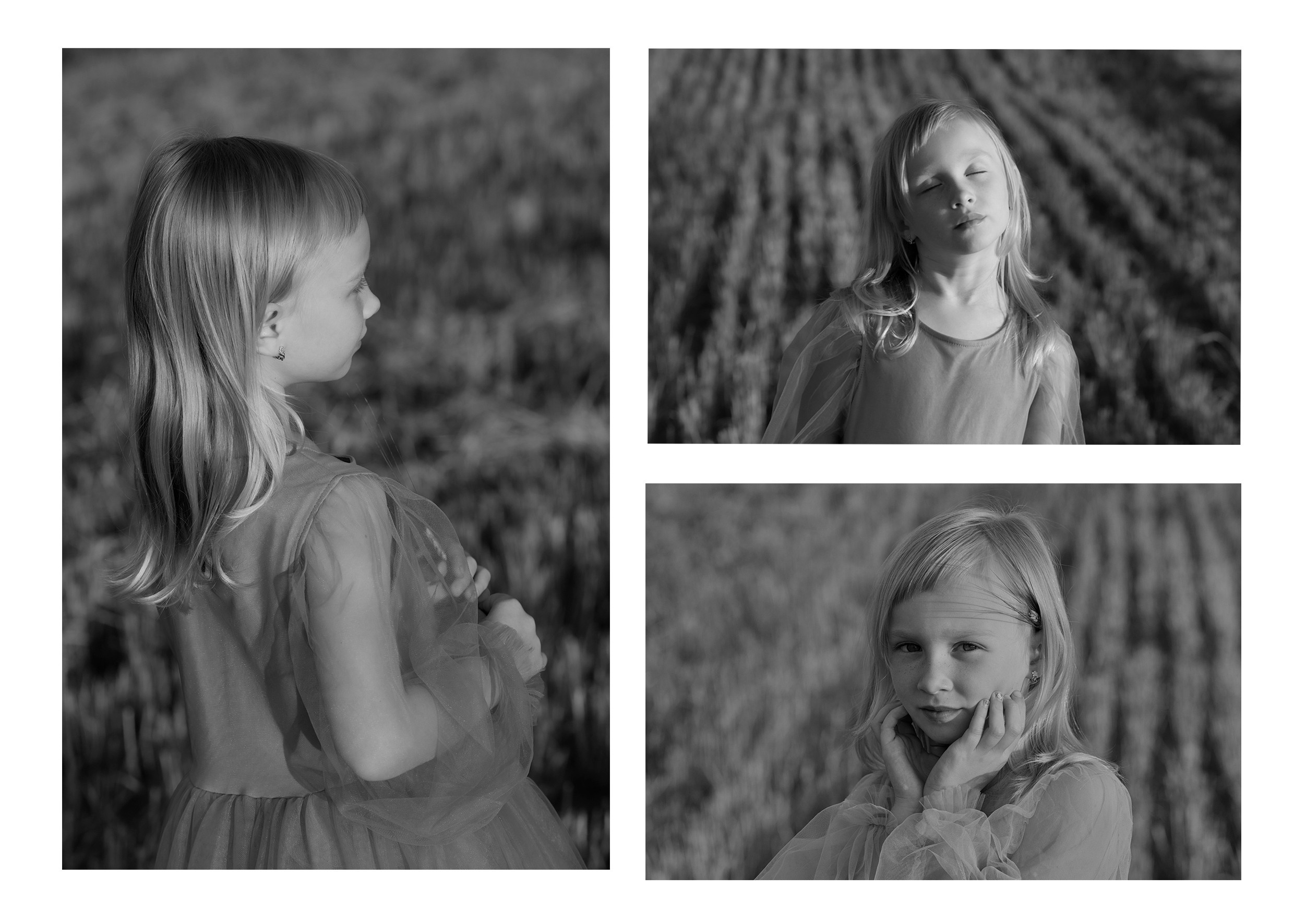 АЛЕКСА. ФотоХудожник Харитонова Ирина г. Санкт-Петербург