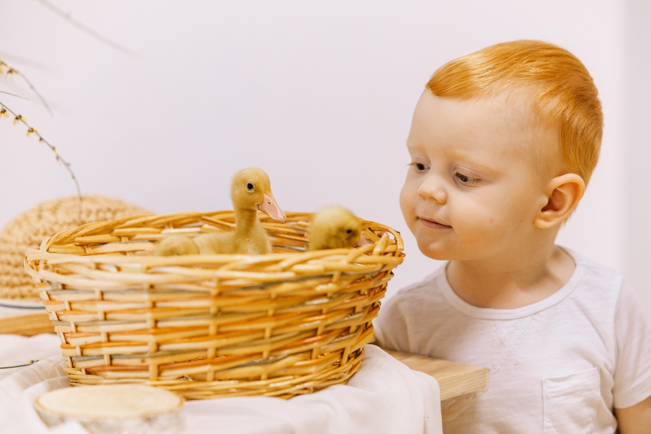 Фотодень утята. Семейный Фотограф в Москве Евгения Симоненко