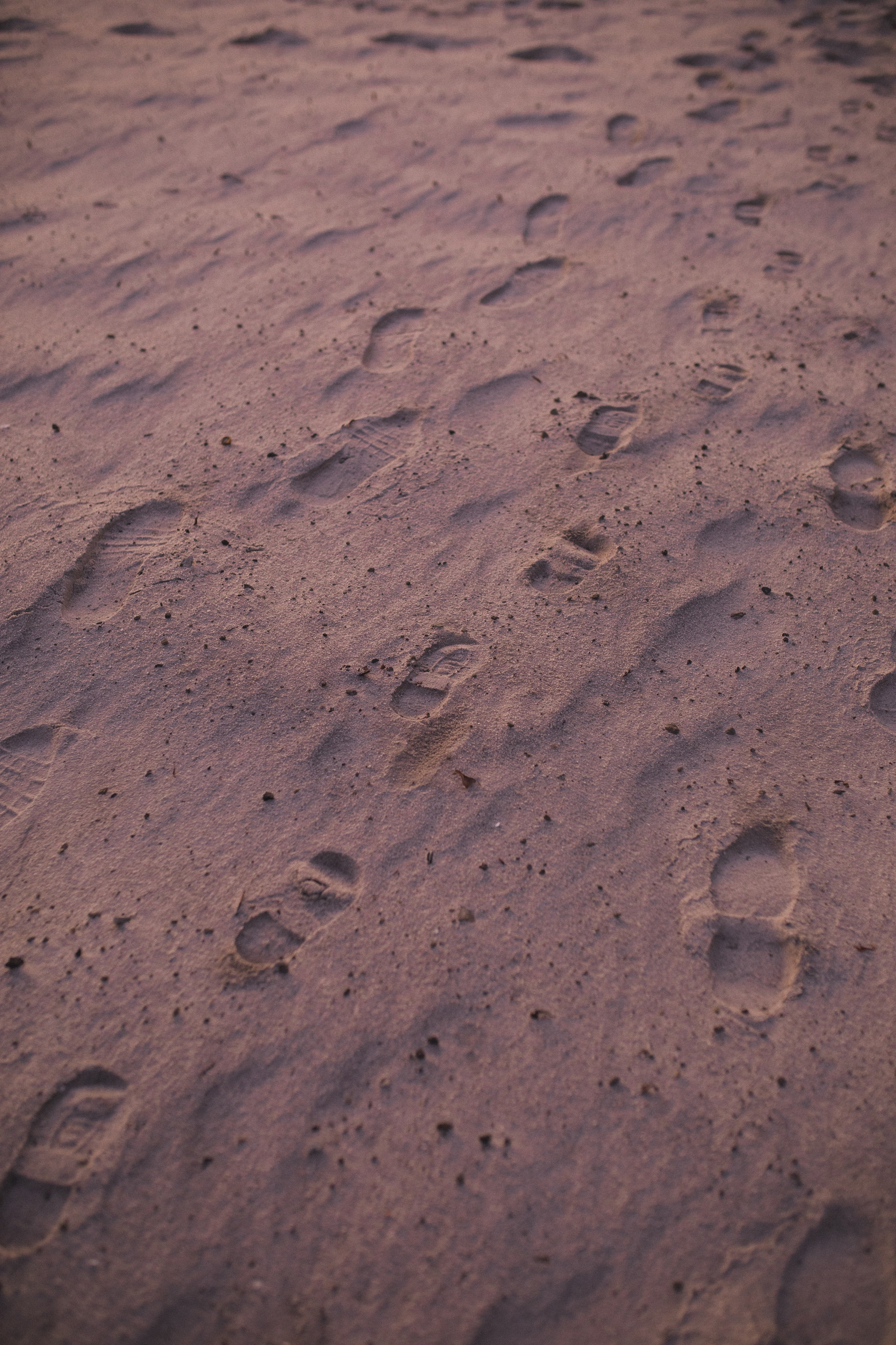 Прогулка по набережной. Свадебный и семейный фотограф в Белгороде Евгения Курочкина