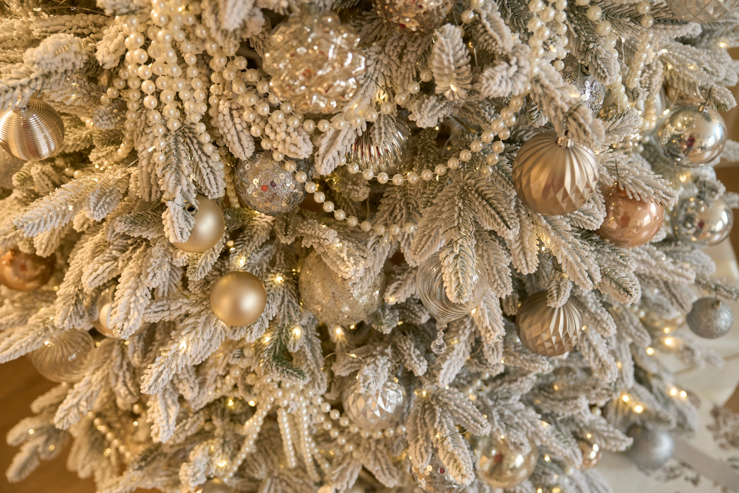 Париж (Paris). Фотограф г. Хабаровск. Семейные и индивидуальные съёмки