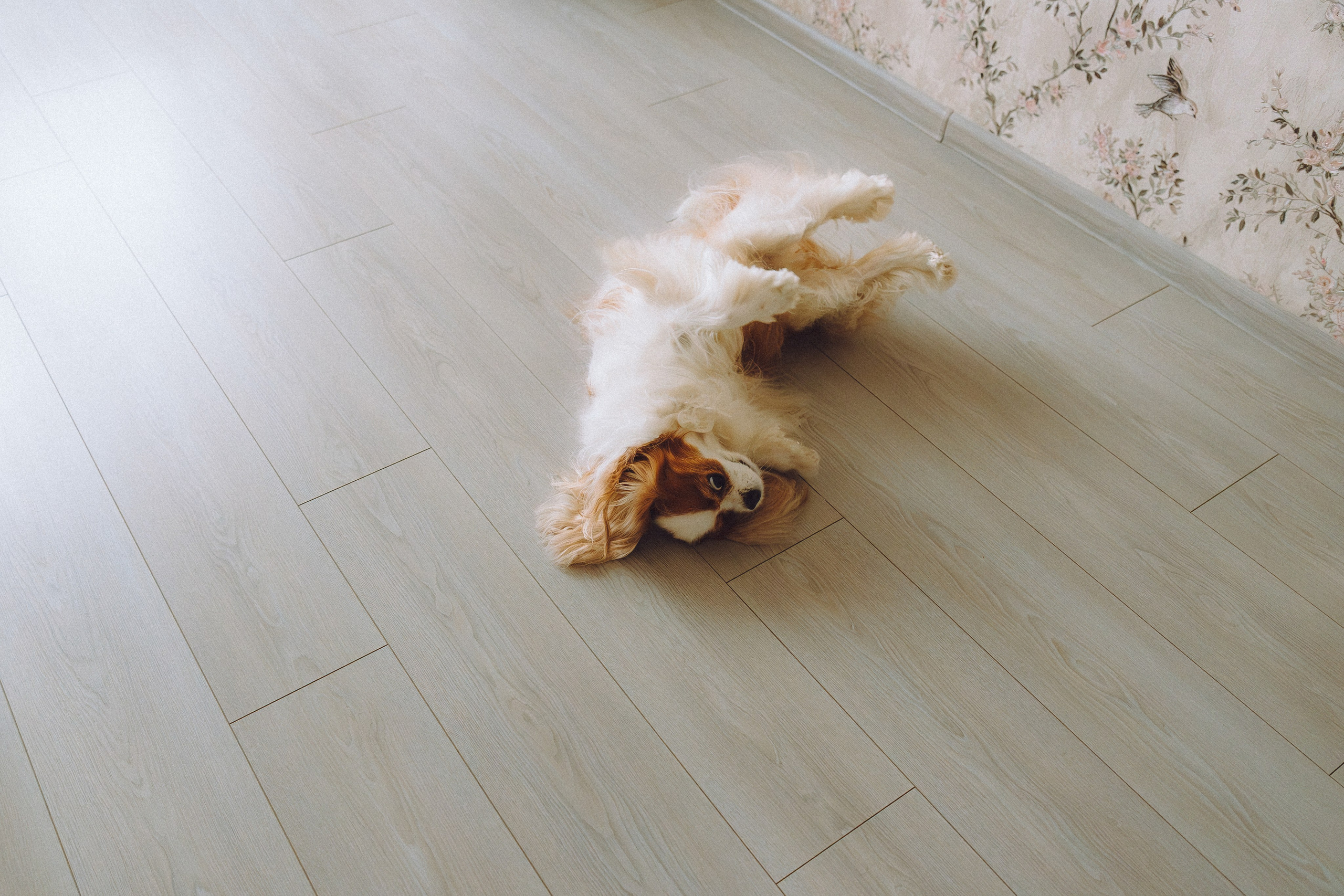 Наташа и Вики