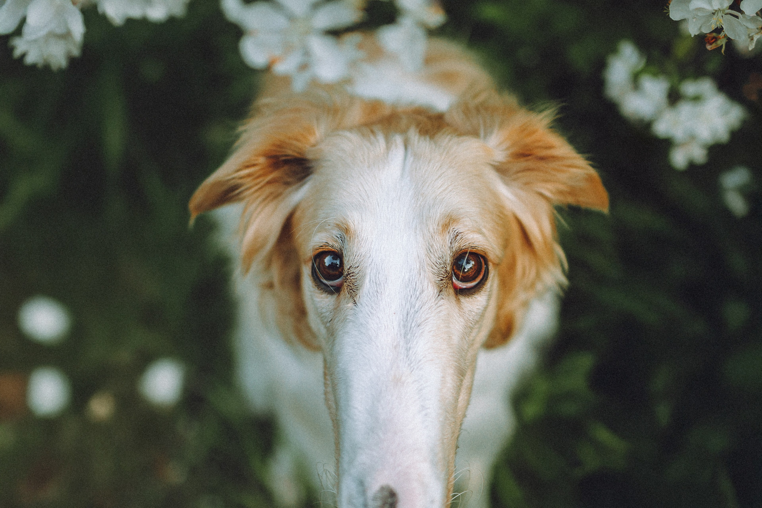 Илай, Зайка и их семья