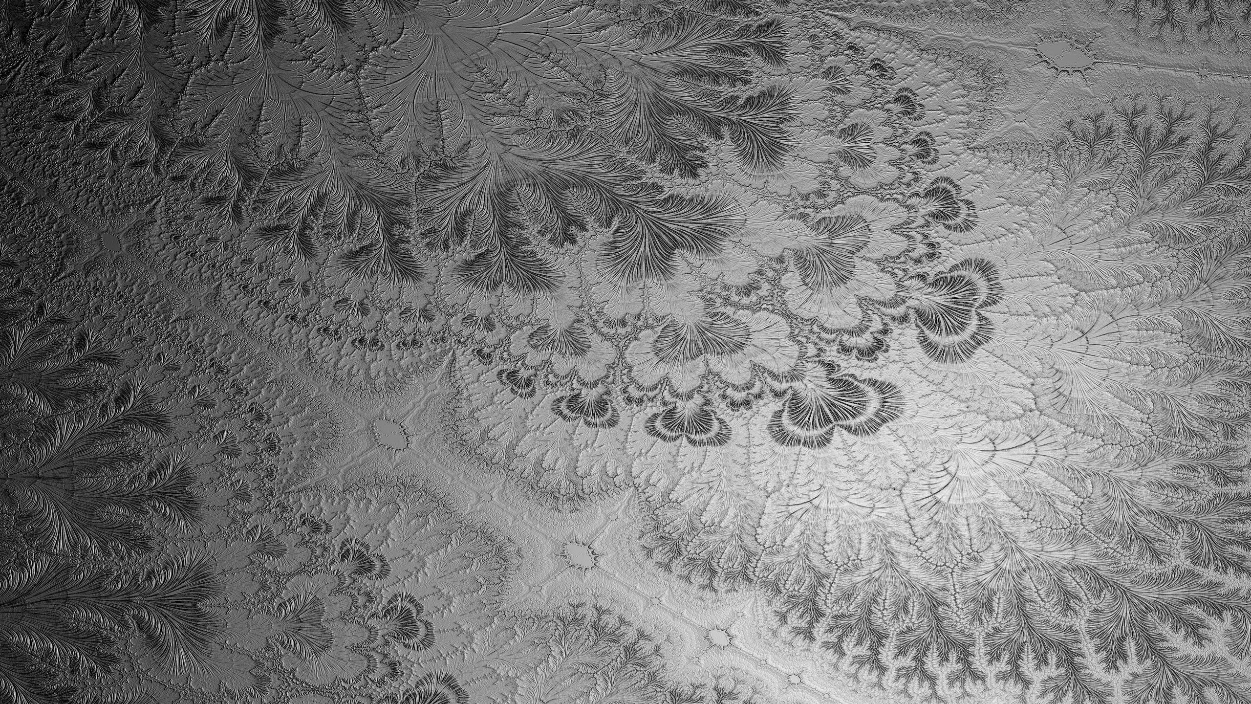 Проектор. Фотостудии К69