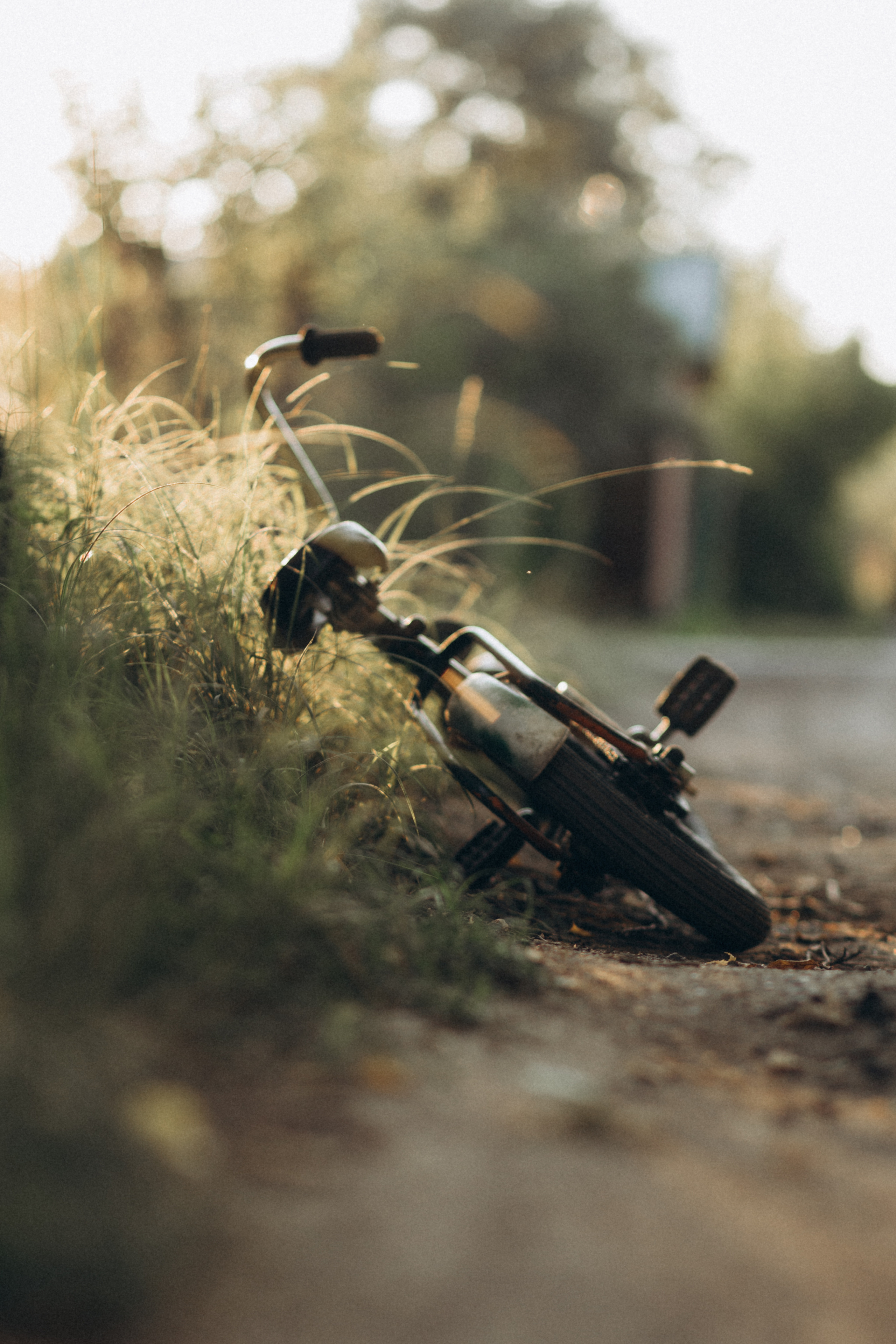 Я буду долго гнать велосипед. Семейный и детский фотограф в Москве и Ярославле Егунева Елена