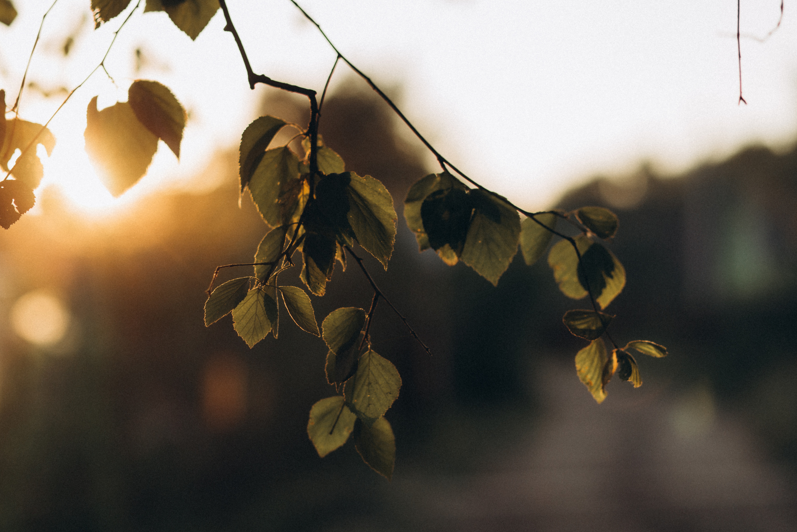 Я буду долго гнать велосипед. Семейный и детский фотограф в Москве и Ярославле Егунева Елена