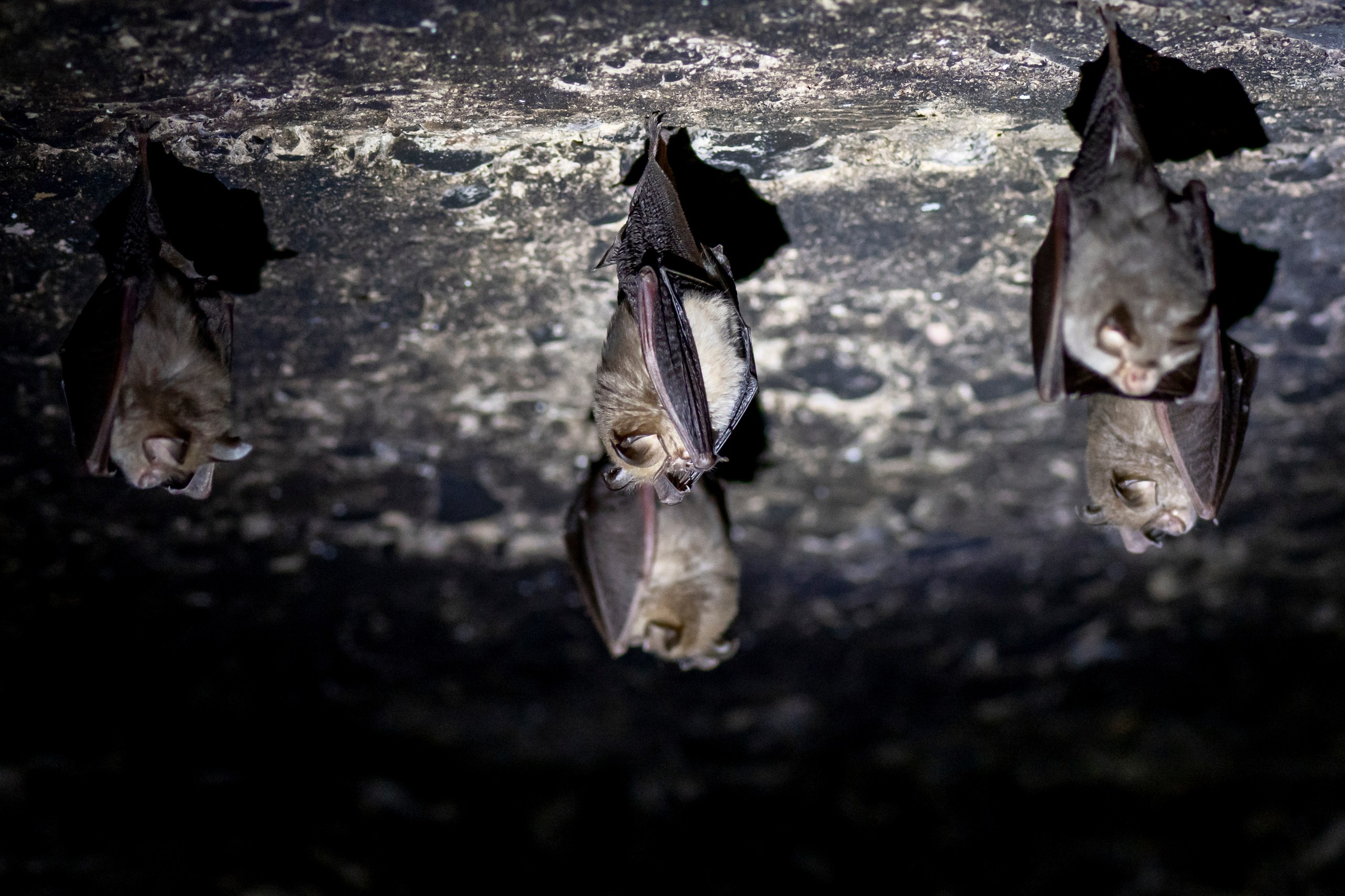 Природа Дагестана, сентябрь 2024. Foto-Zuev фотография как искусство