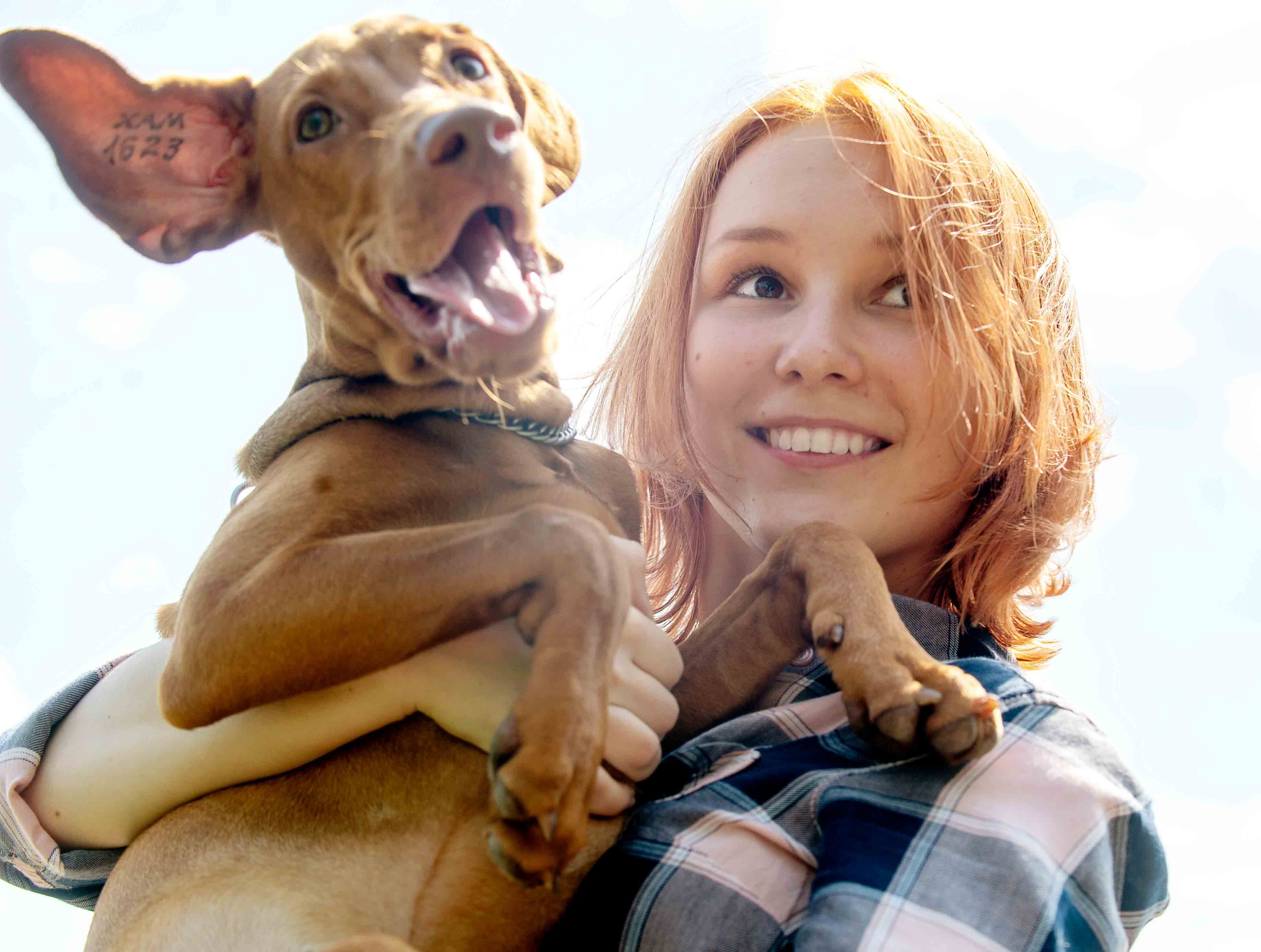 Фото с домашними питомцами. Портретная и свадебная фотосъемка. Москва и область