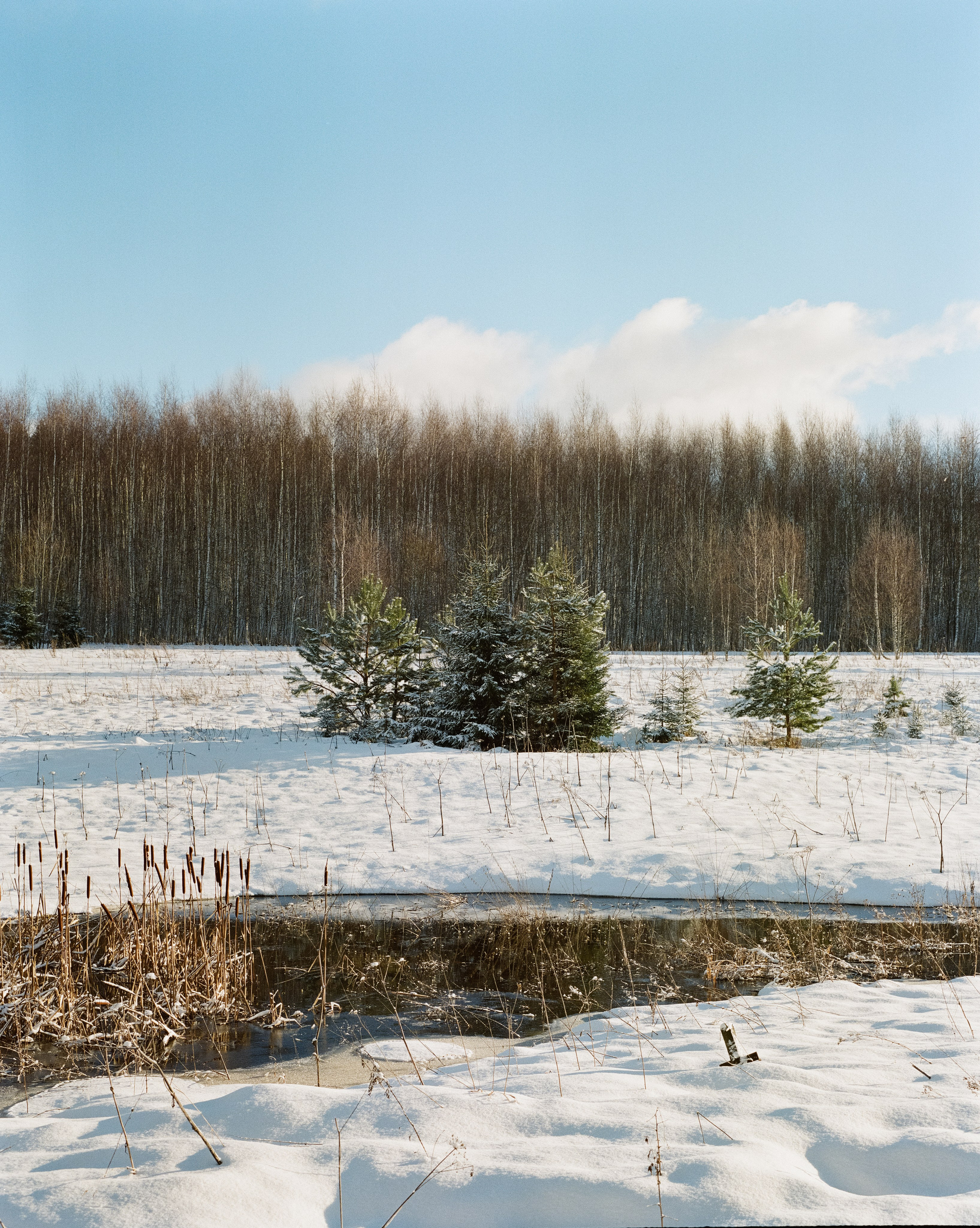 Pentax 67 — SMC Pentax 67 105 mm f/2.4 / Kodak Portra 800 / 3 января Лукино