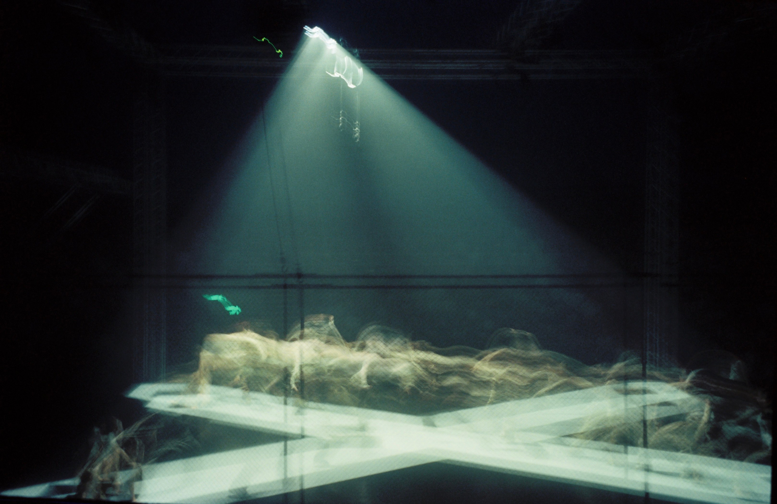 Unhuman by aliens. Tashaosm.com