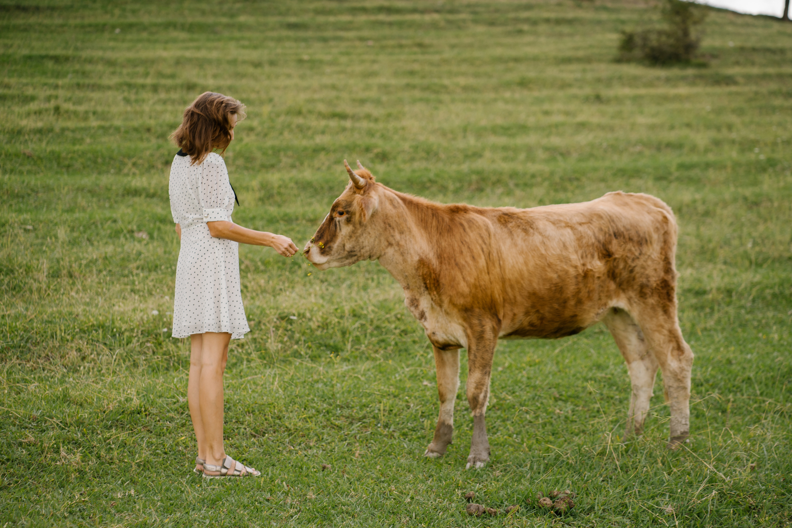 Фотосессия на природе летом. Фотограф в Сочи Тиунова Маргарита и Тиунов Евгений