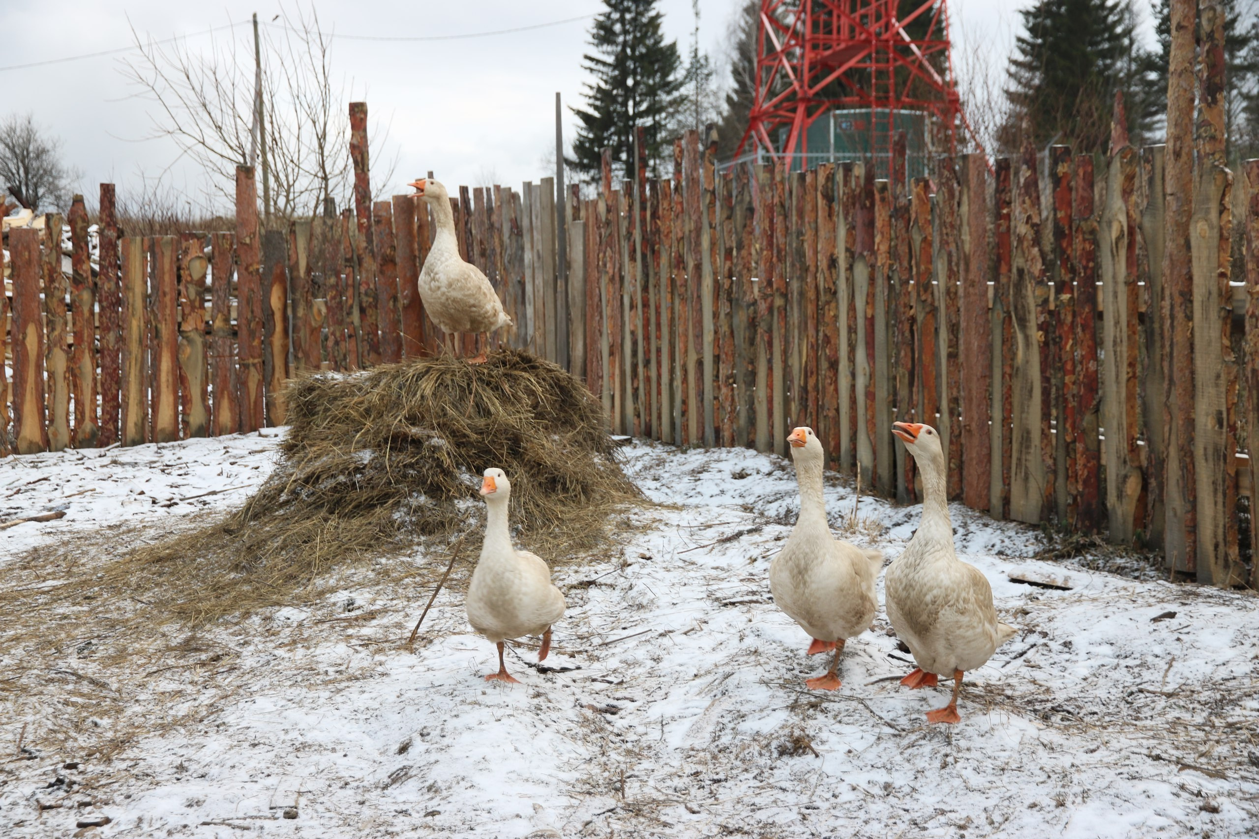 Екатеринбург | 21-23.10.2016. Галерея Фантим
