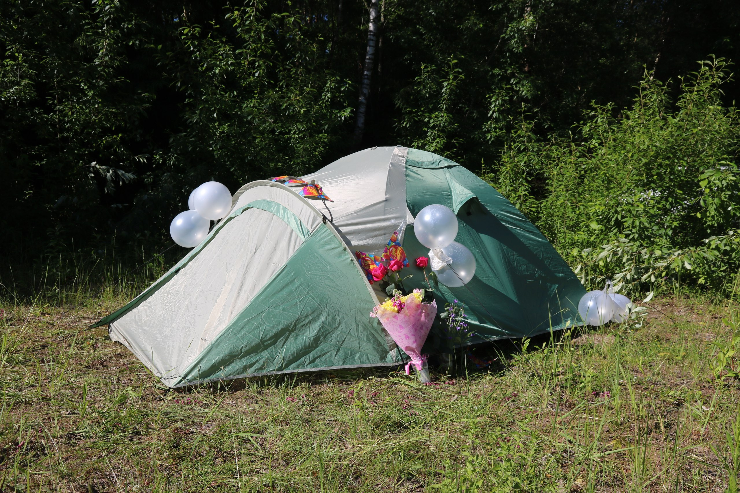 Походная романтика 22! Новый год и не тра-та-та-та… | 23-25.06.2017. Галерея Фантим