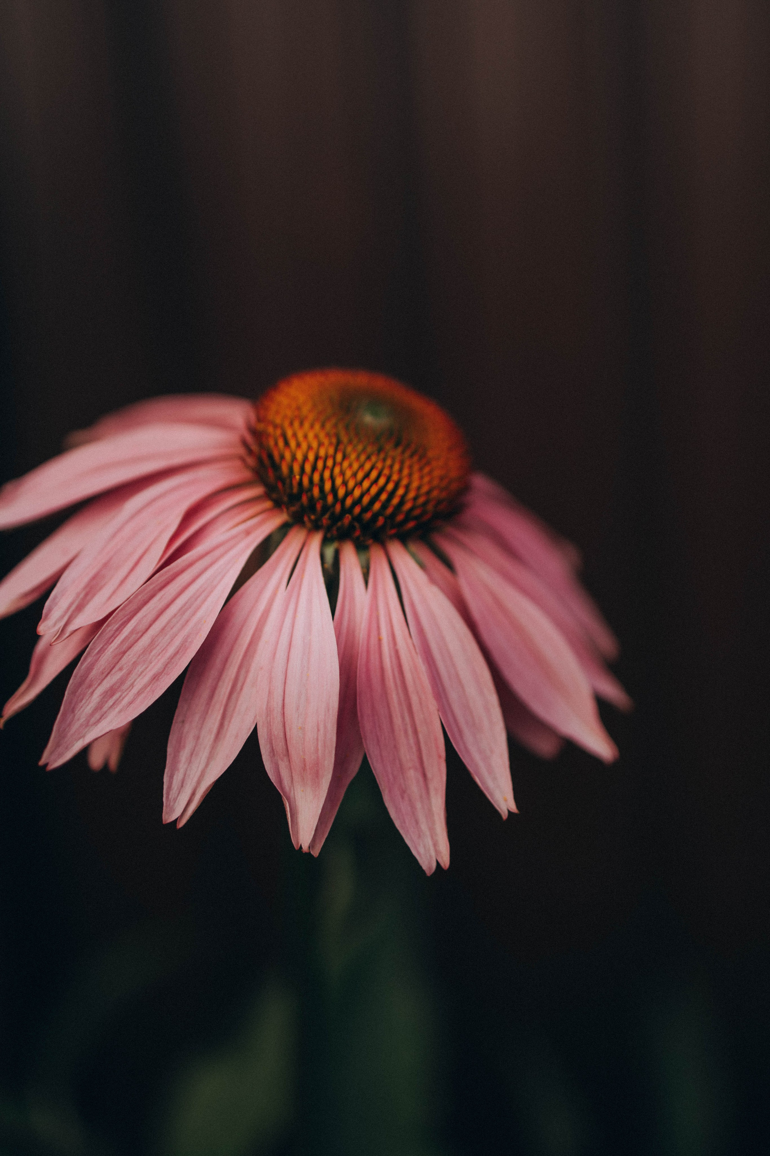 Одним летним днем. Фотограф lifestylе в Москве Пшеничная Анастасия