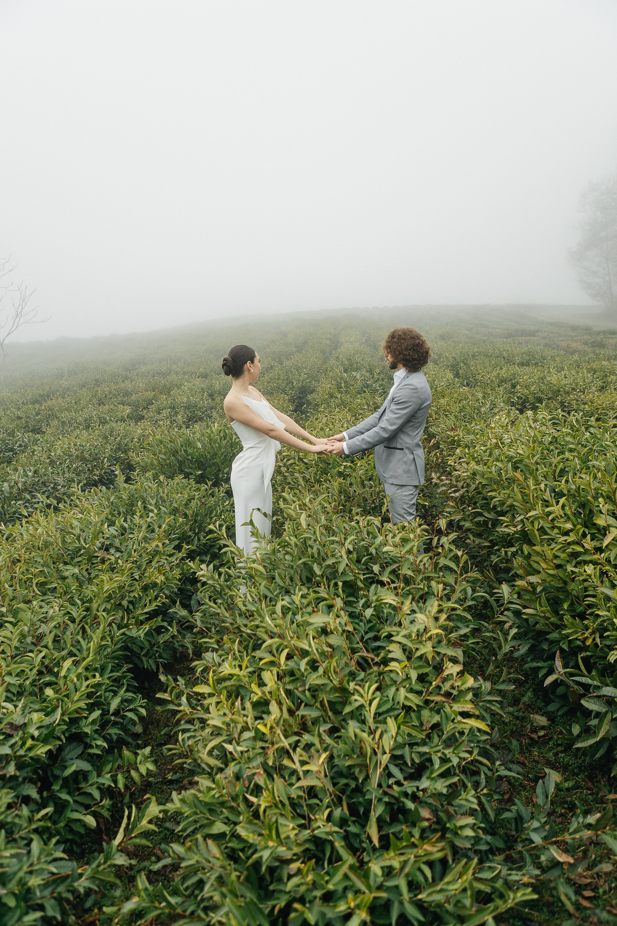 Сочи. Чайная плантация. Фотограф Москва, Балашиха, МО. Свадьбы, репортажи, контент, портреты