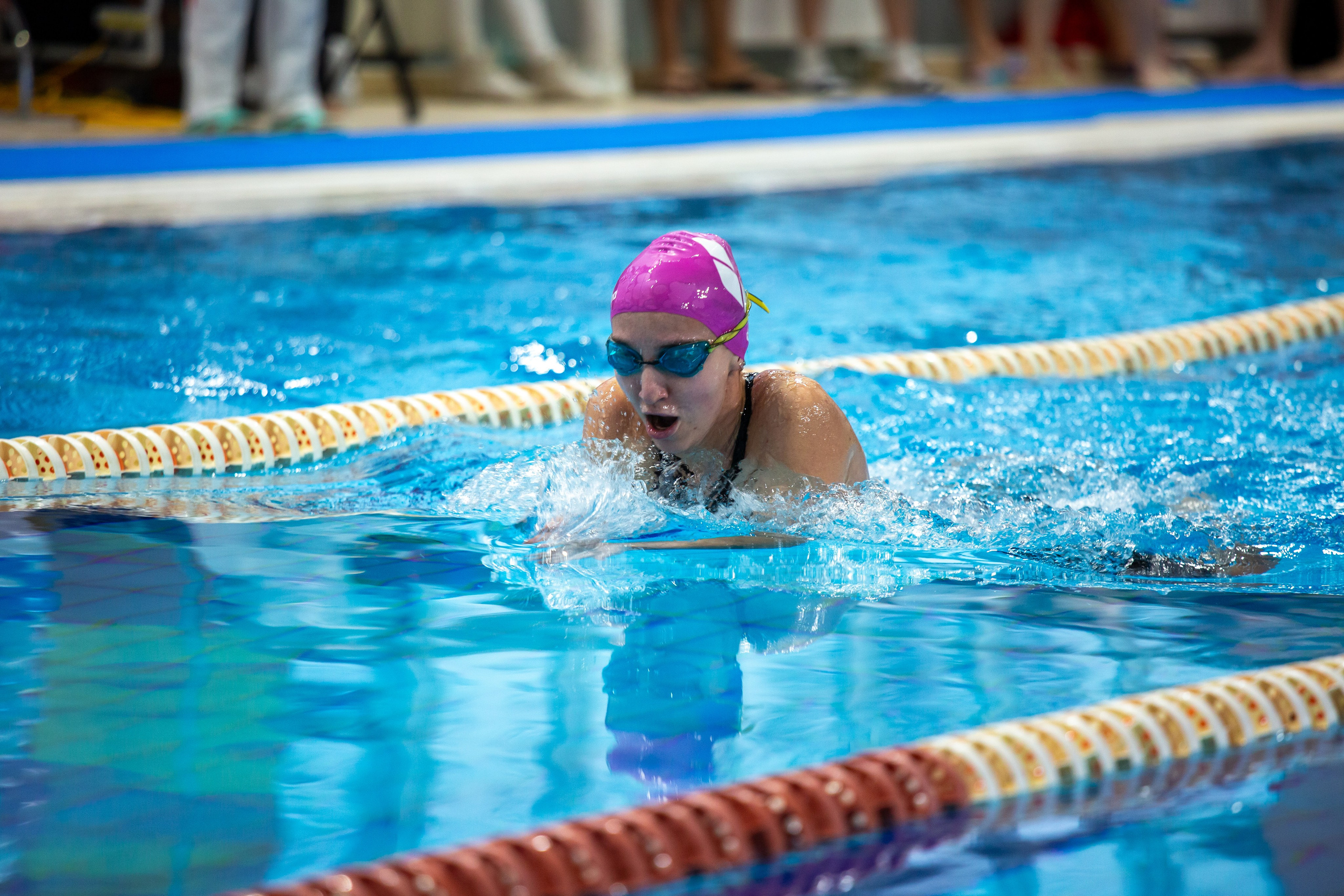 Турнир по плаванию. Репортажный, семейный, свадебный, портретный фотограф