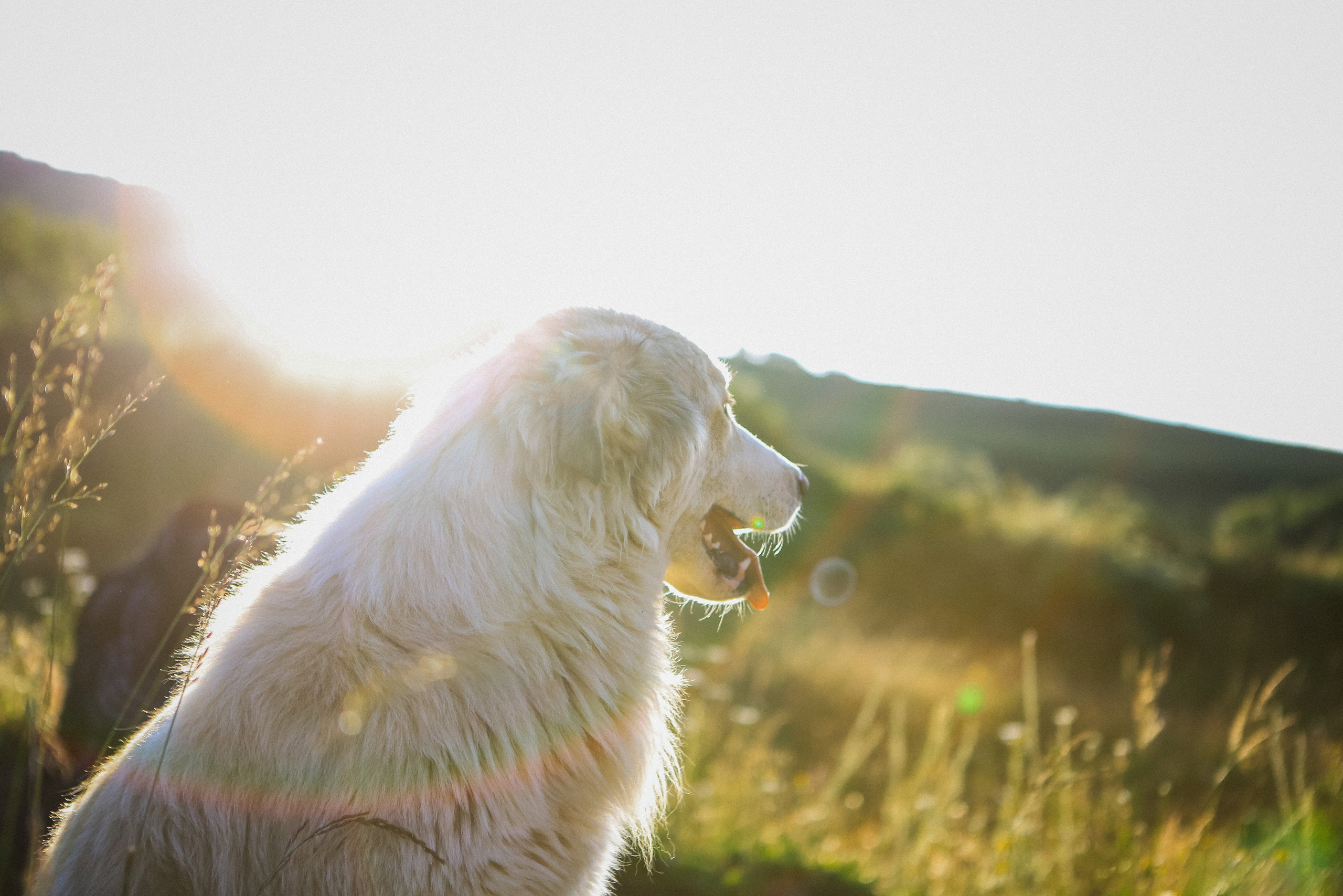 Пресс-тур для Неизвестного Кавказа. Свадебный и портретный фотограф в Пятигорске, КМВ — Власова Юля