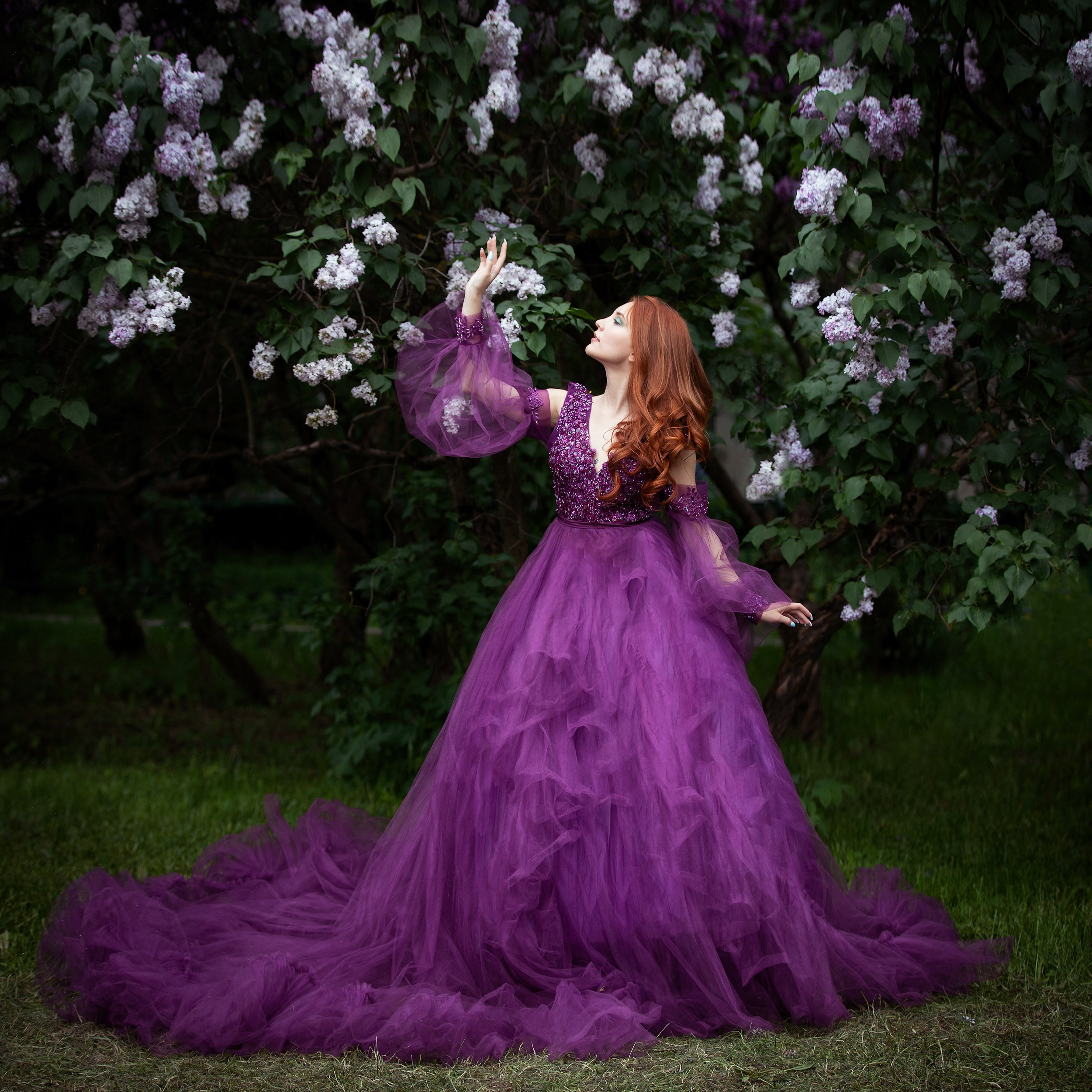 Сиреневый сад. Фотограф в Москве и Московской области Ольга Дробышева