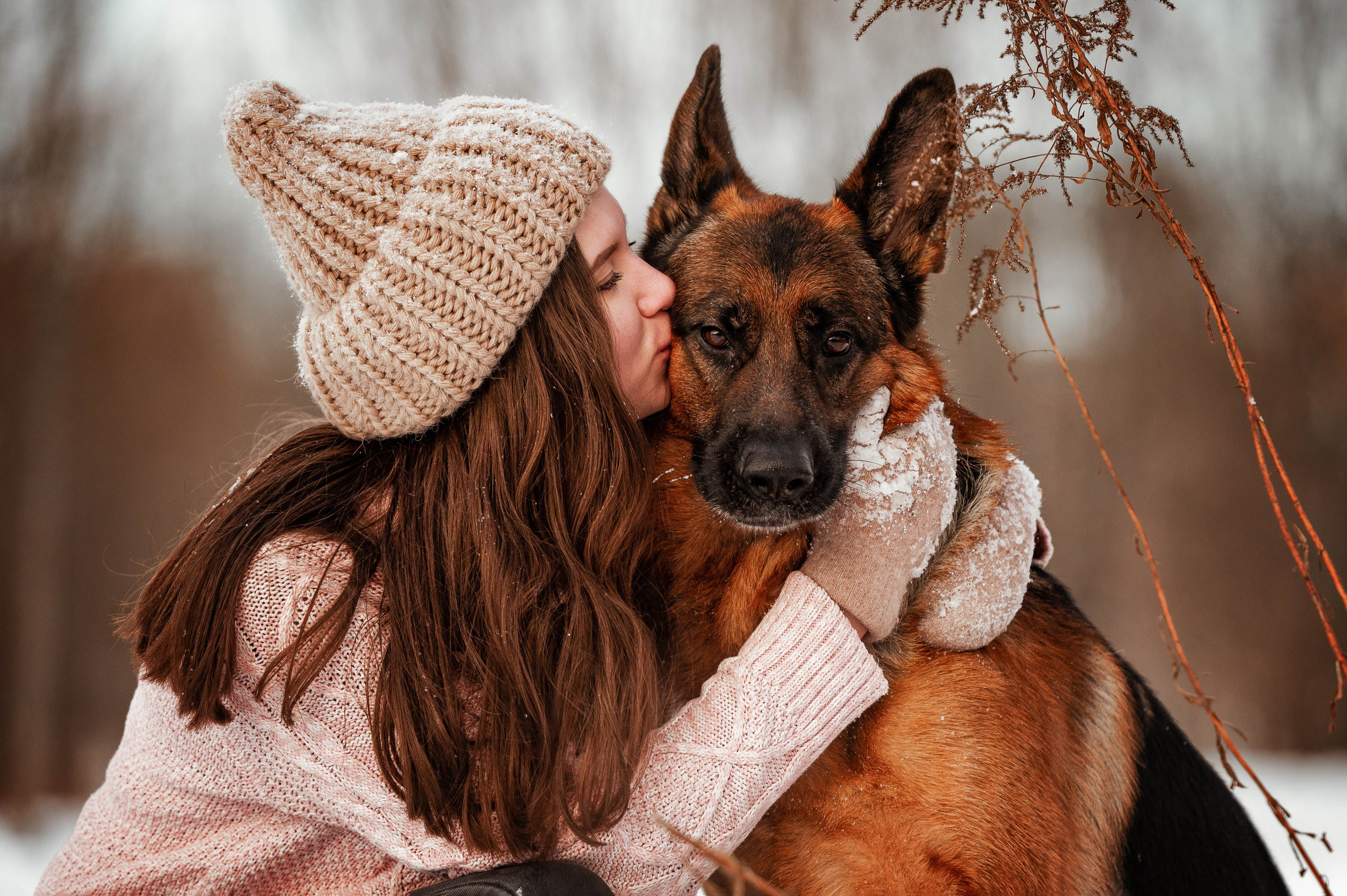 Вольт. Фотограф-анималист