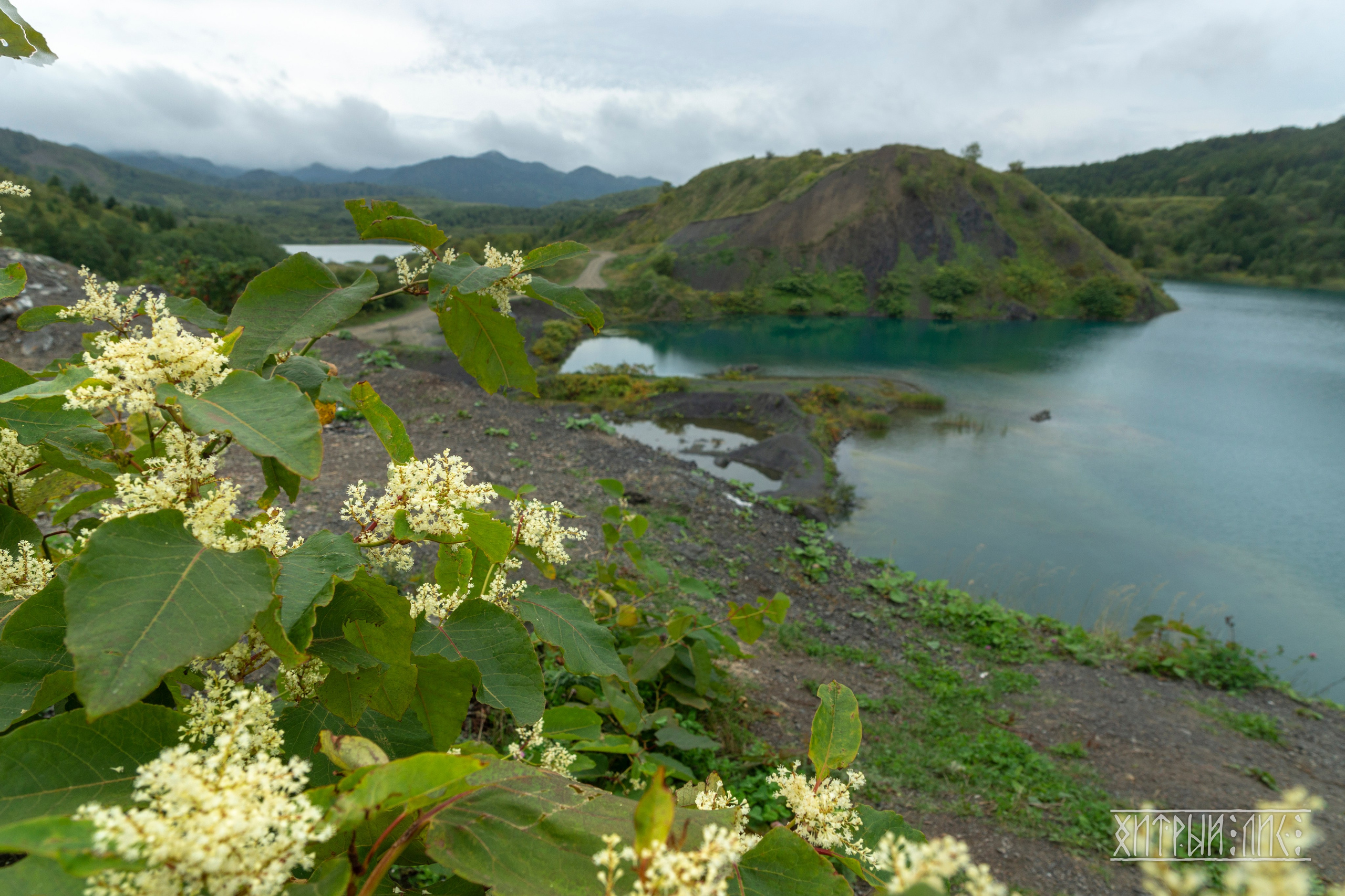 Сахалин. Фотограф-путешественник Самойлов Максим «Sly Fox»