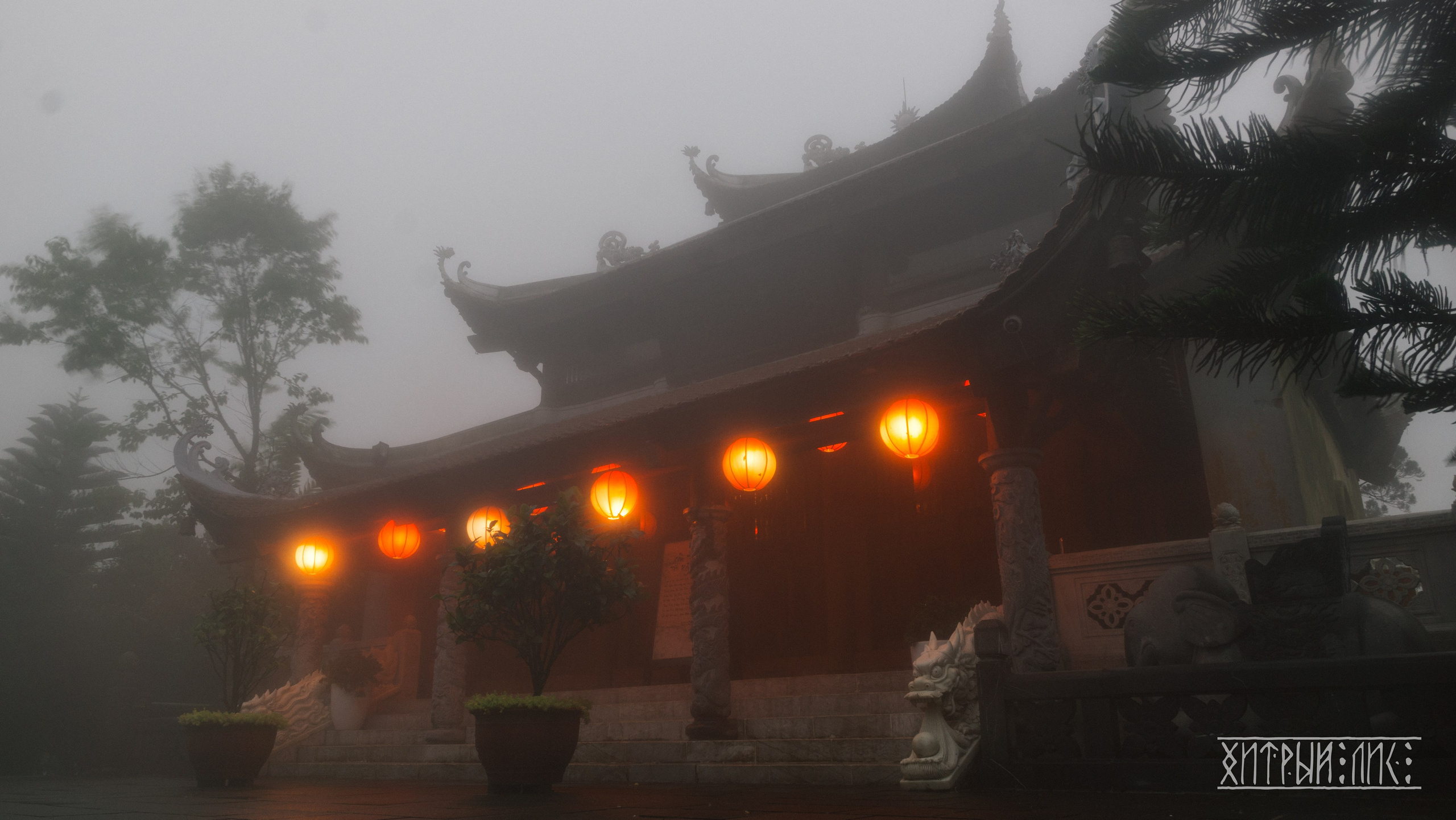 Вьетнам. Фотограф-путешественник Самойлов Максим «Sly Fox»