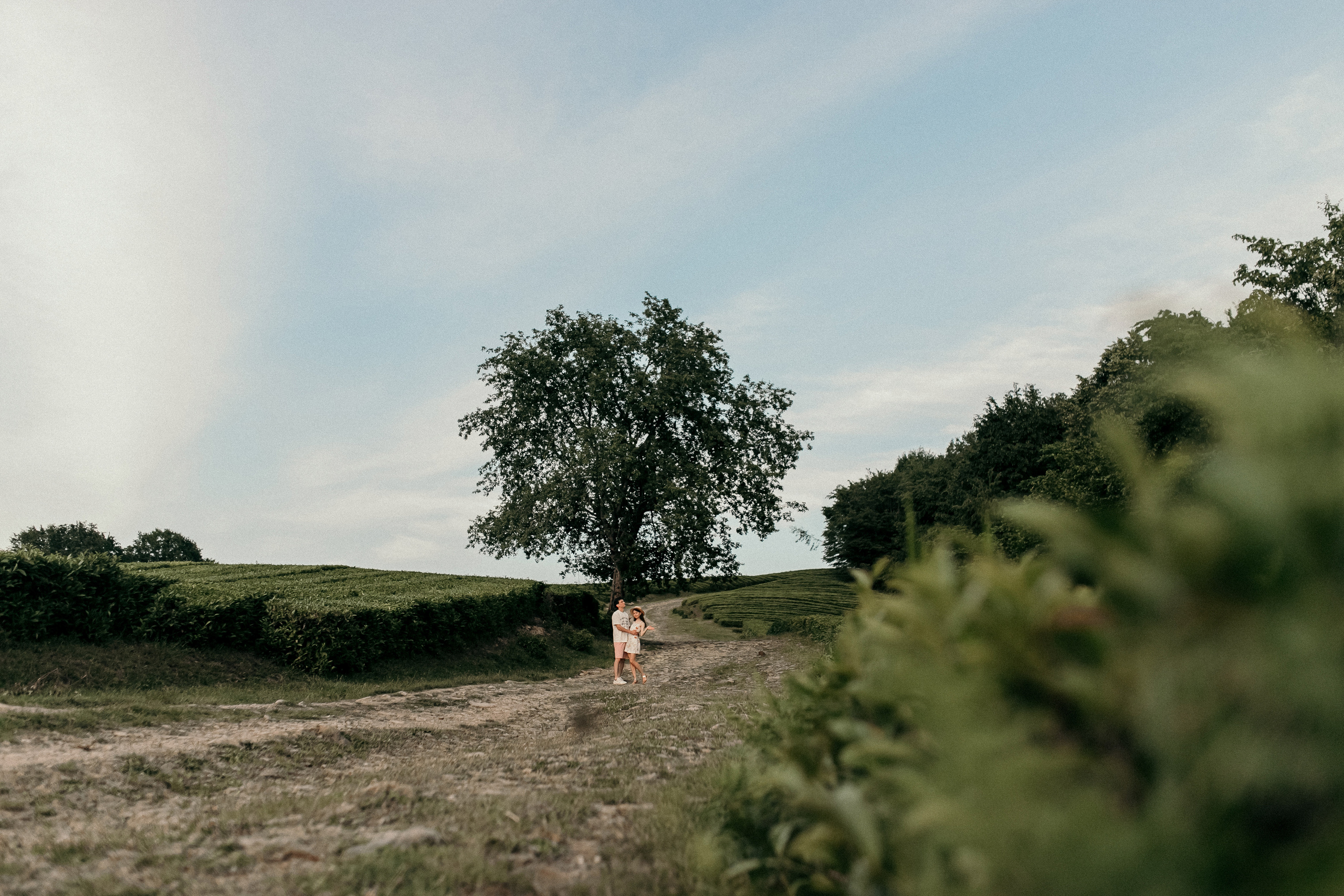 Алиса и Сергей. Фотограф Сочи Адлер Красная Поляна Ошутина Анастасия