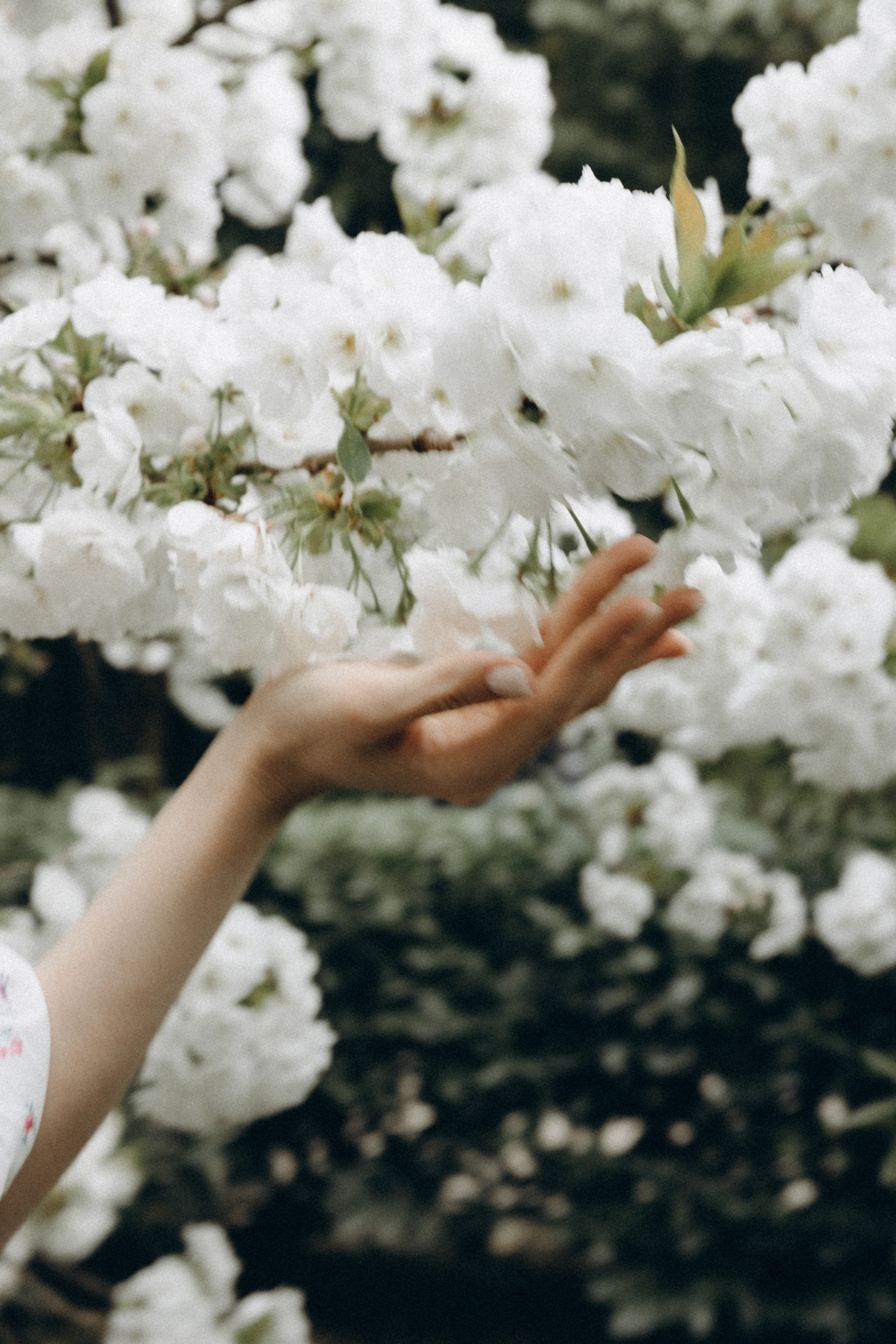 Арина. Фотограф Сочи Адлер Красная Поляна Ошутина Анастасия