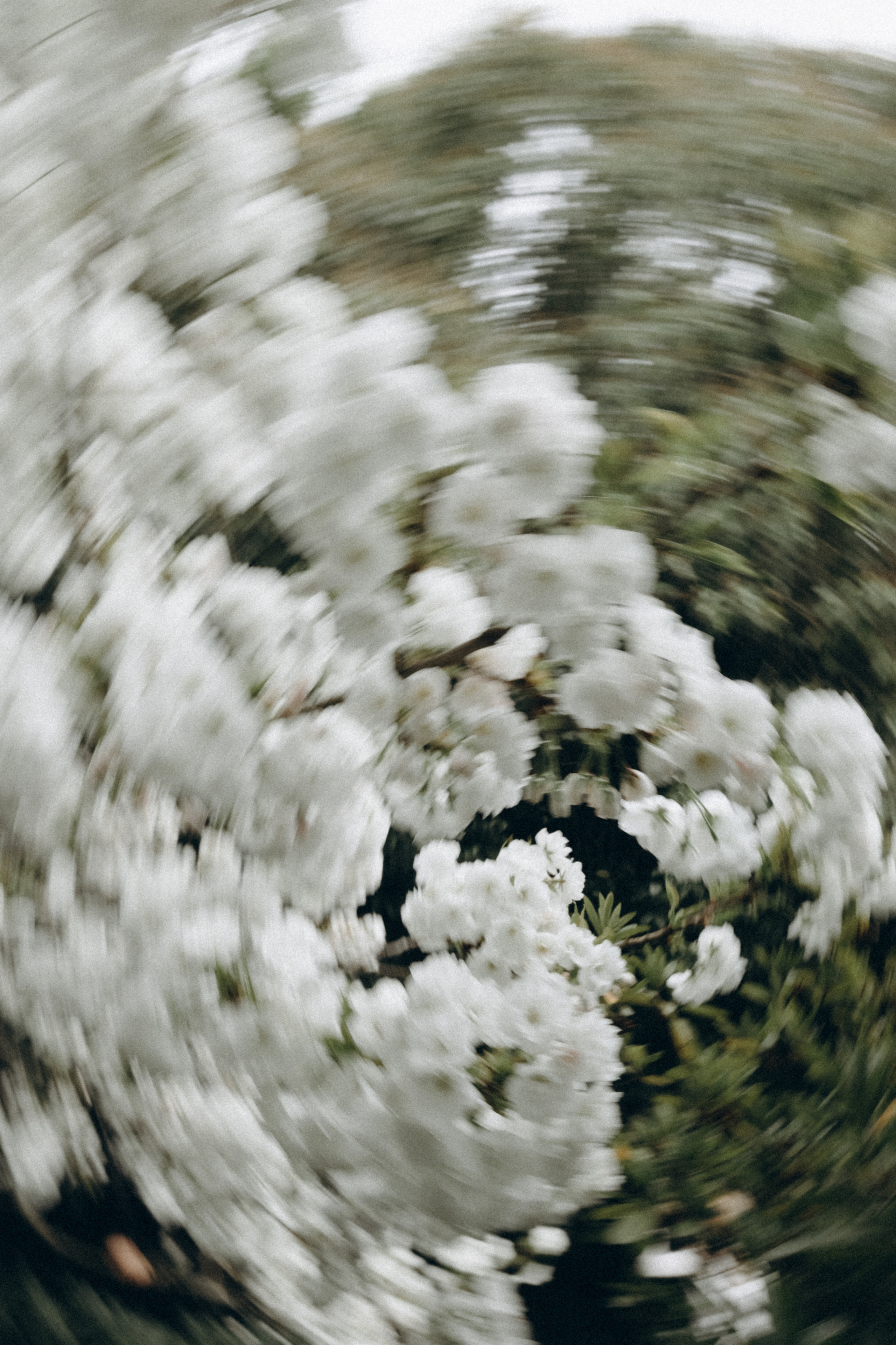 Арина. Фотограф Сочи Адлер Красная Поляна Ошутина Анастасия