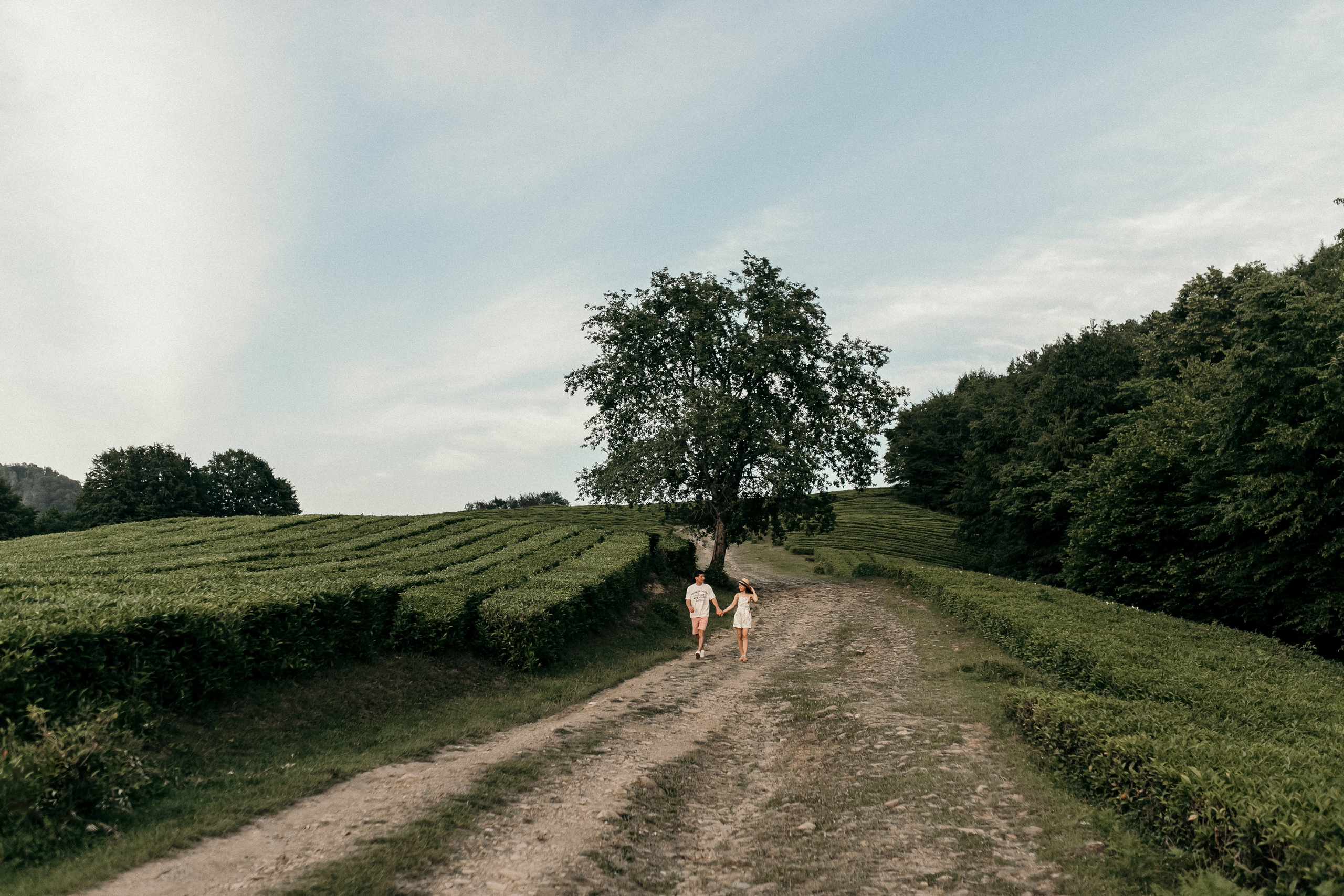 Алиса и Сергей. Фотограф Сочи Адлер Красная Поляна Ошутина Анастасия