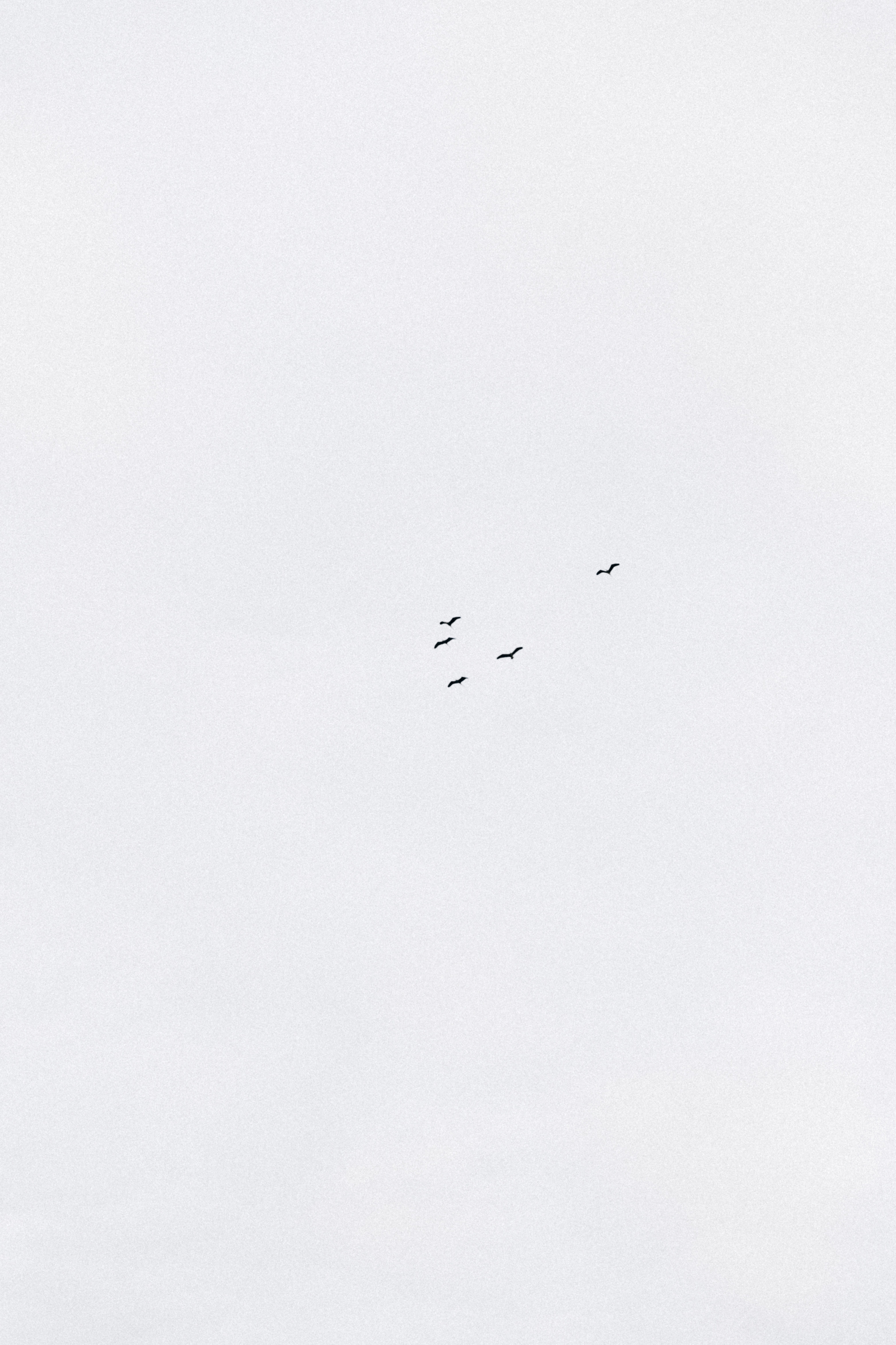 Маша. Фотограф Сочи Адлер Красная Поляна Ошутина Анастасия