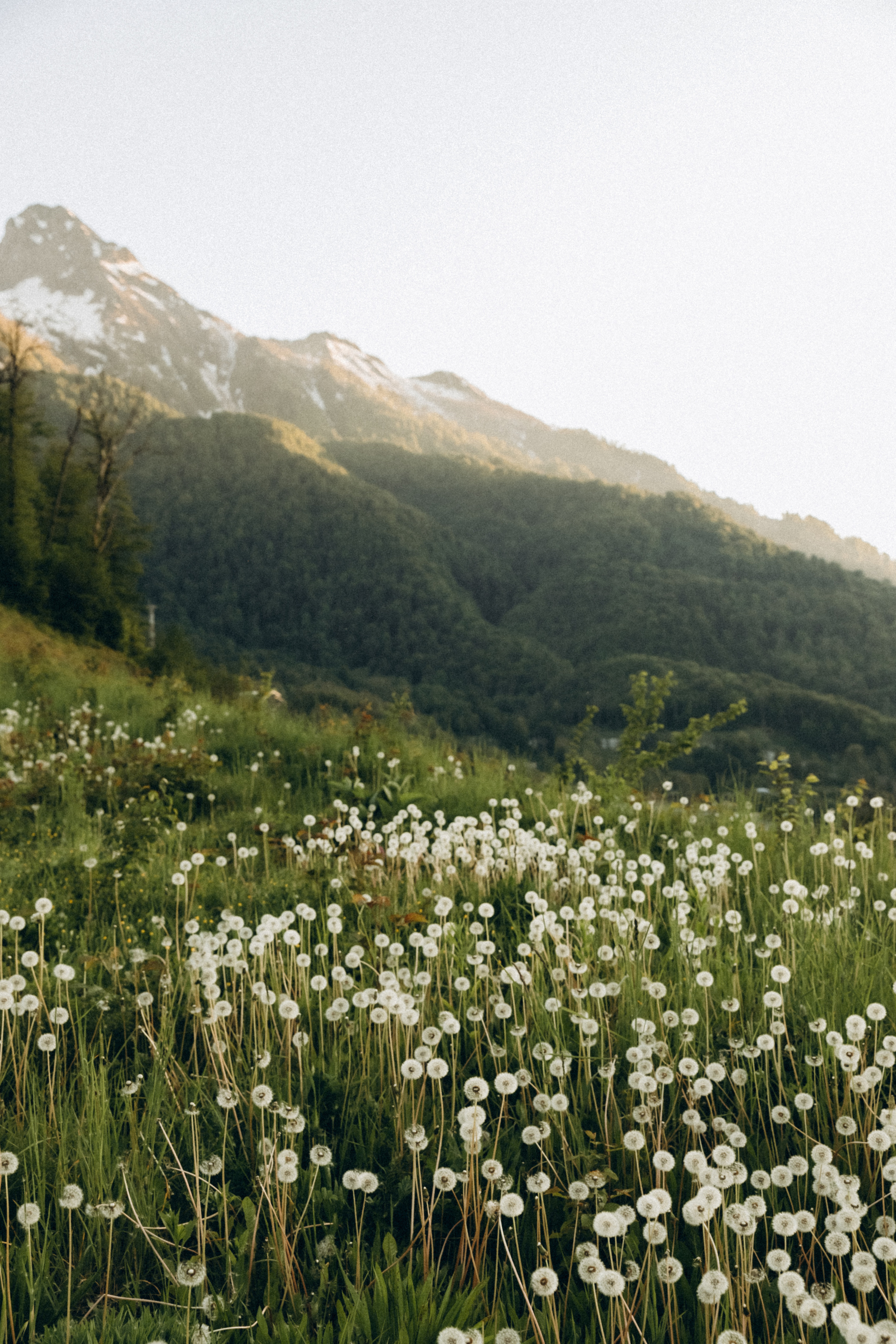 Екатерина и Никита. Фотограф Сочи Адлер Красная Поляна Ошутина Анастасия